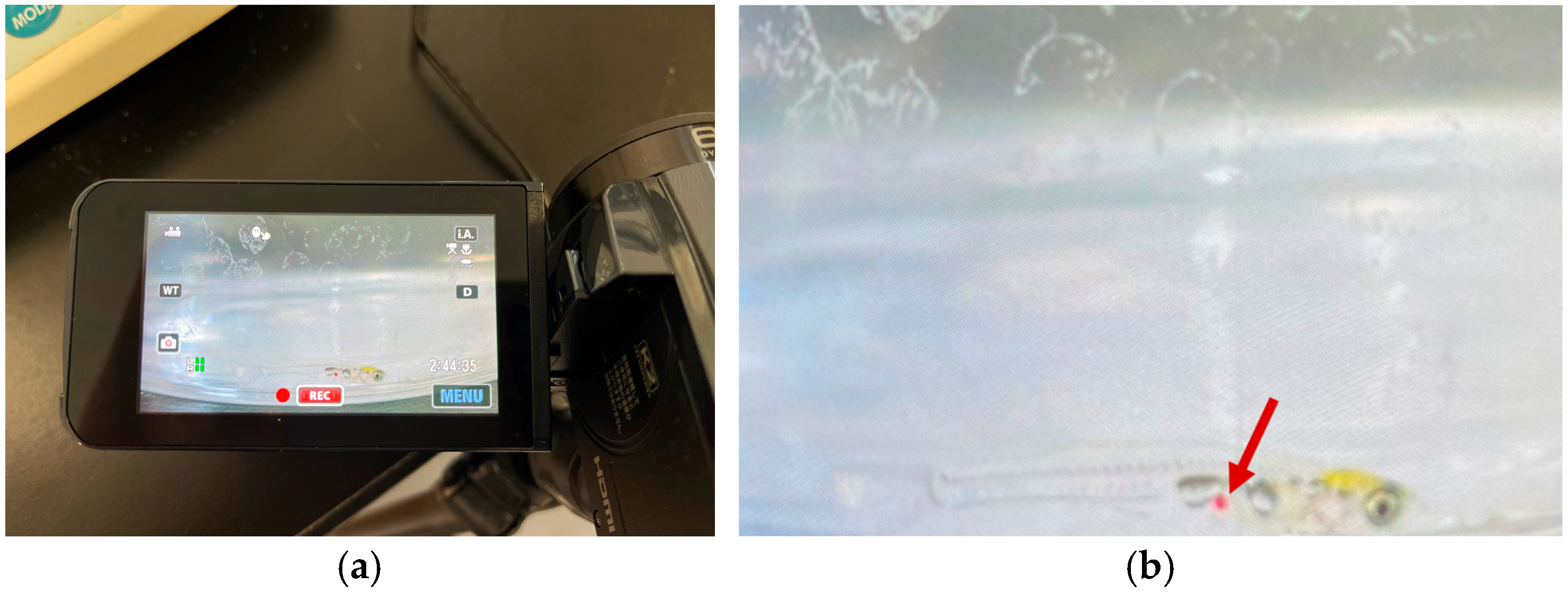 Applsci 15 07047 g001