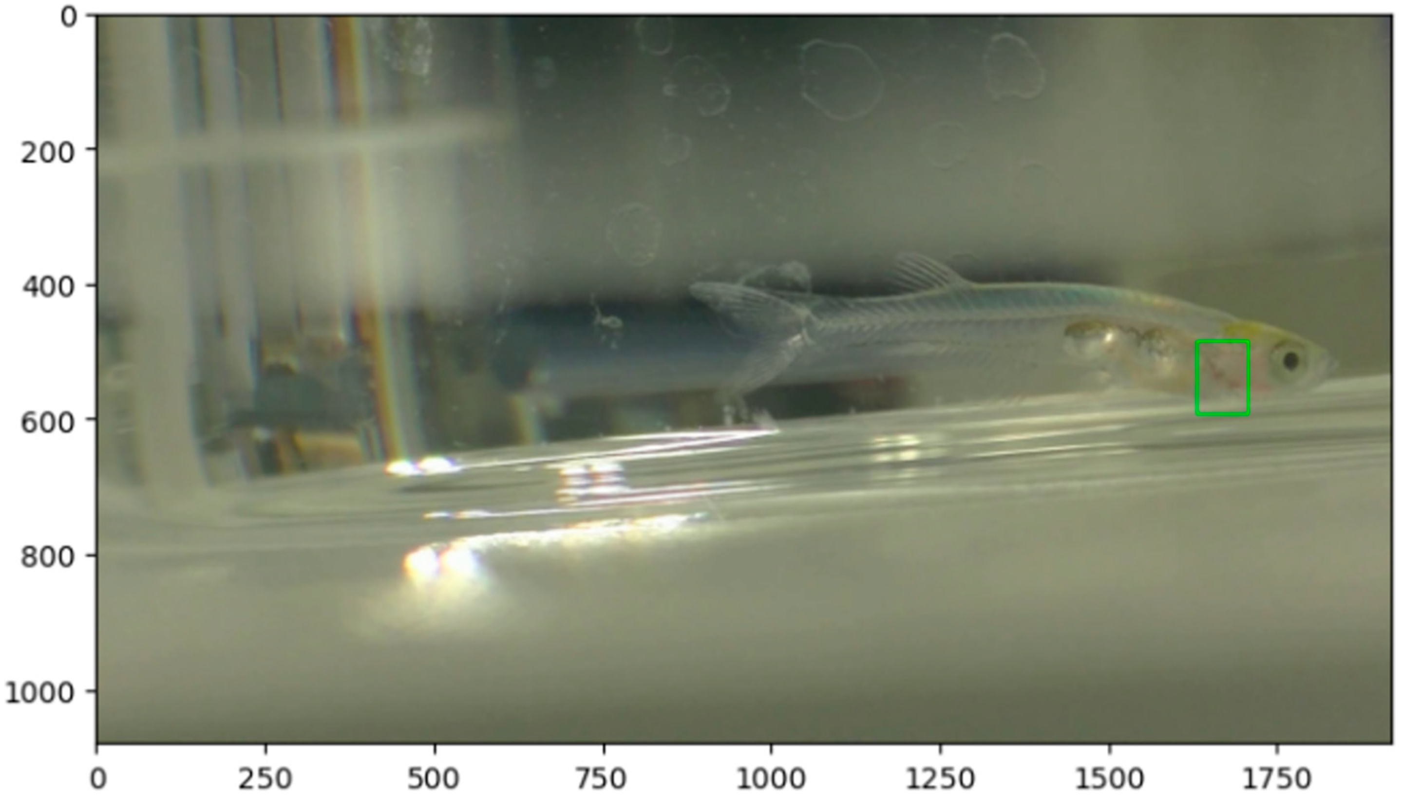 Applsci 15 07047 g002