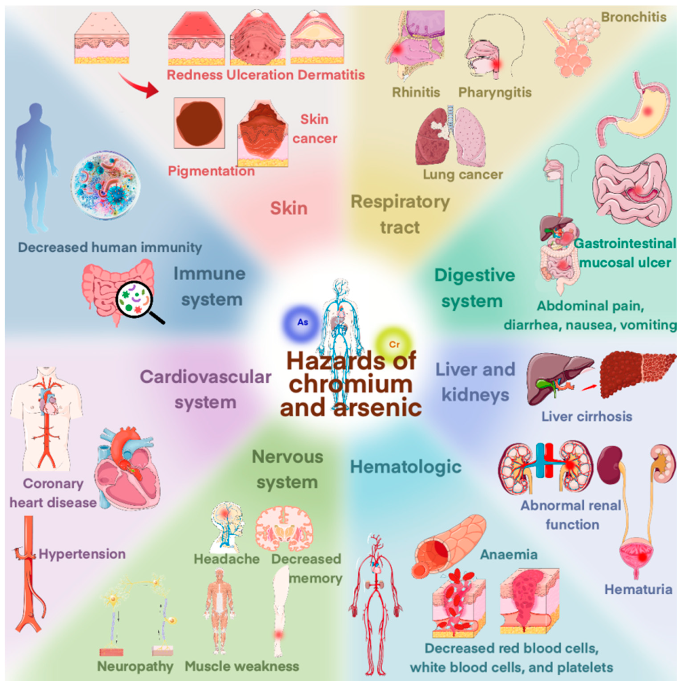 Applsci 15 07069 g001