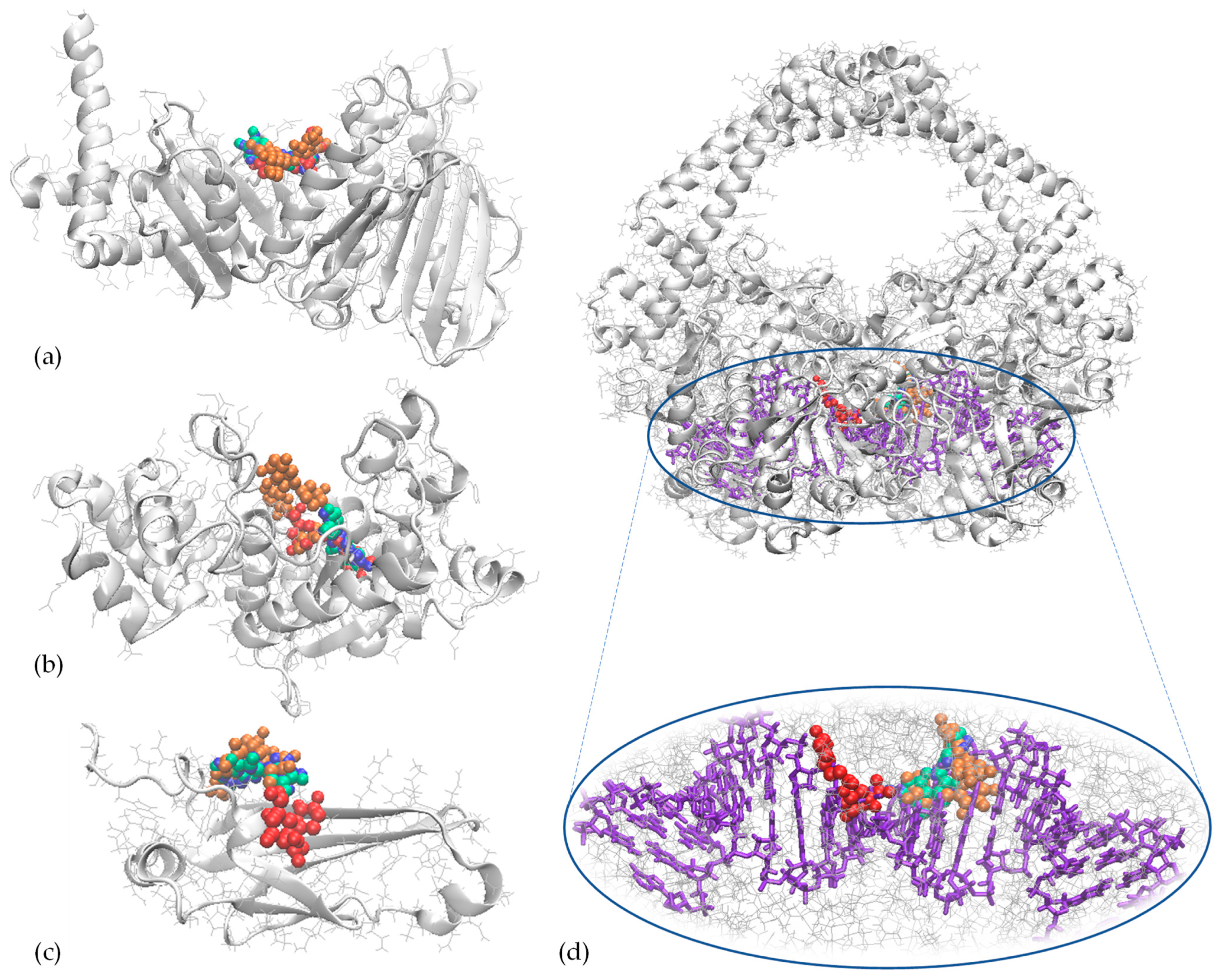Applsci 15 07070 g003
