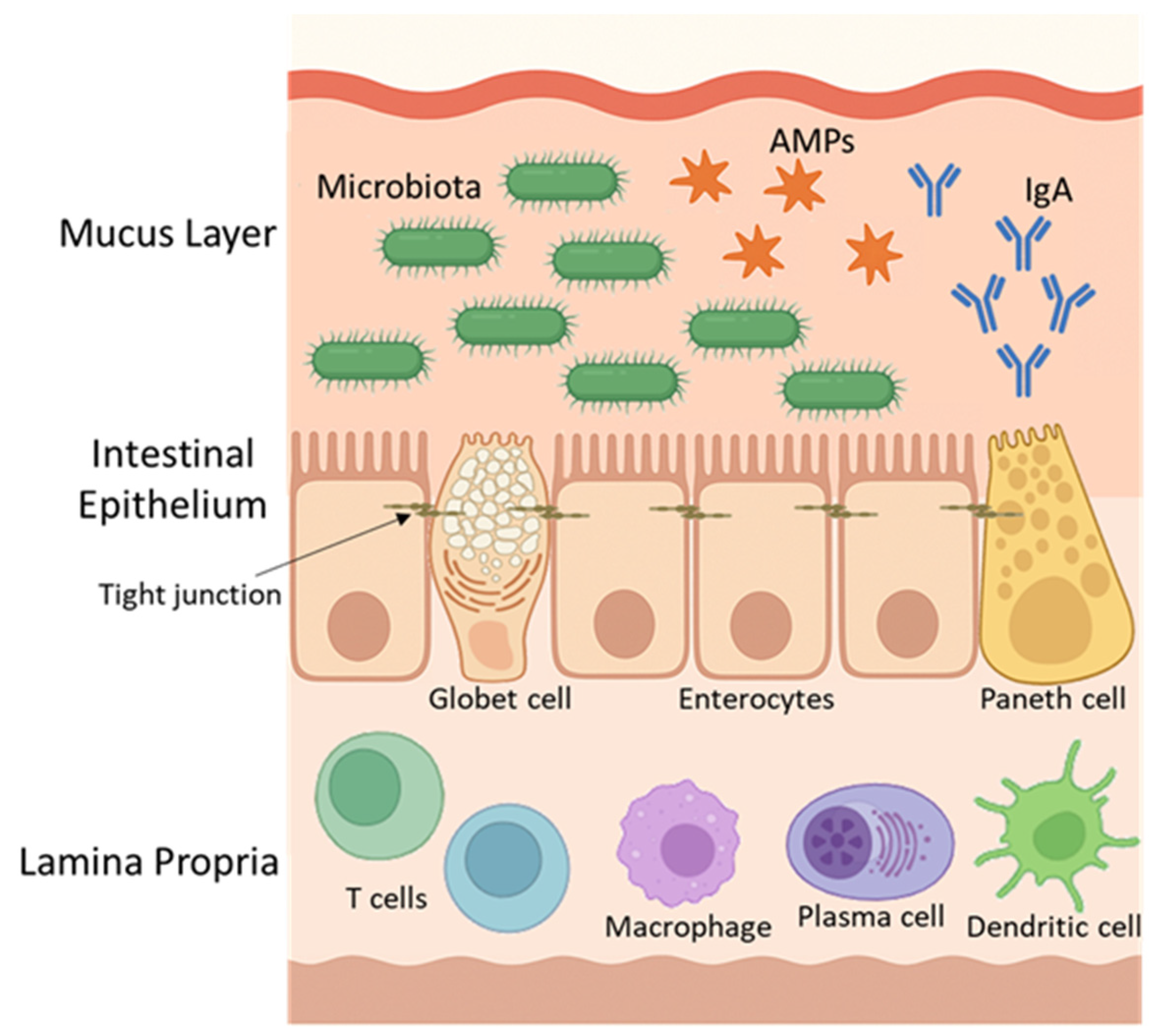 Applsci 15 07084 g002