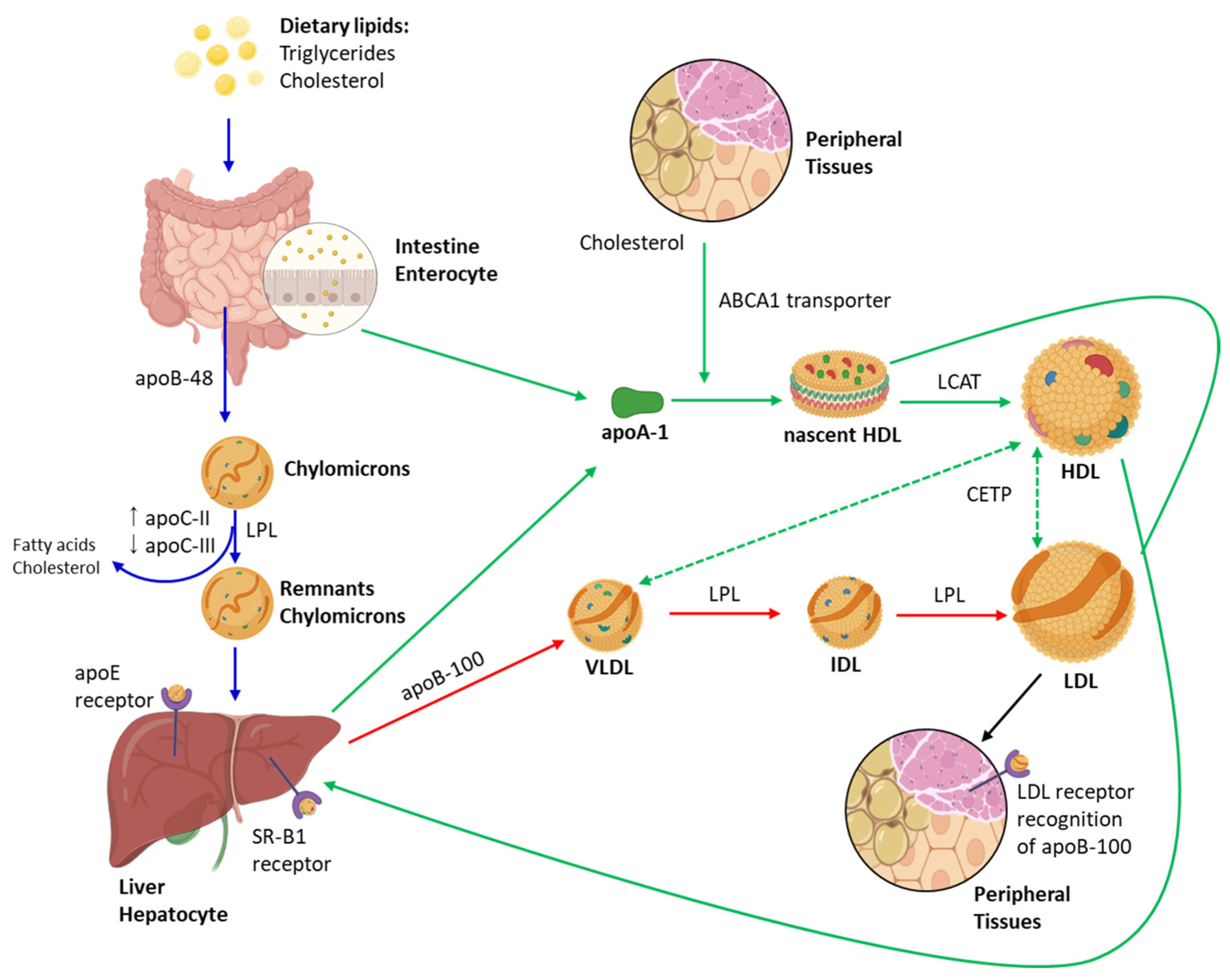 Applsci 15 07084 g004