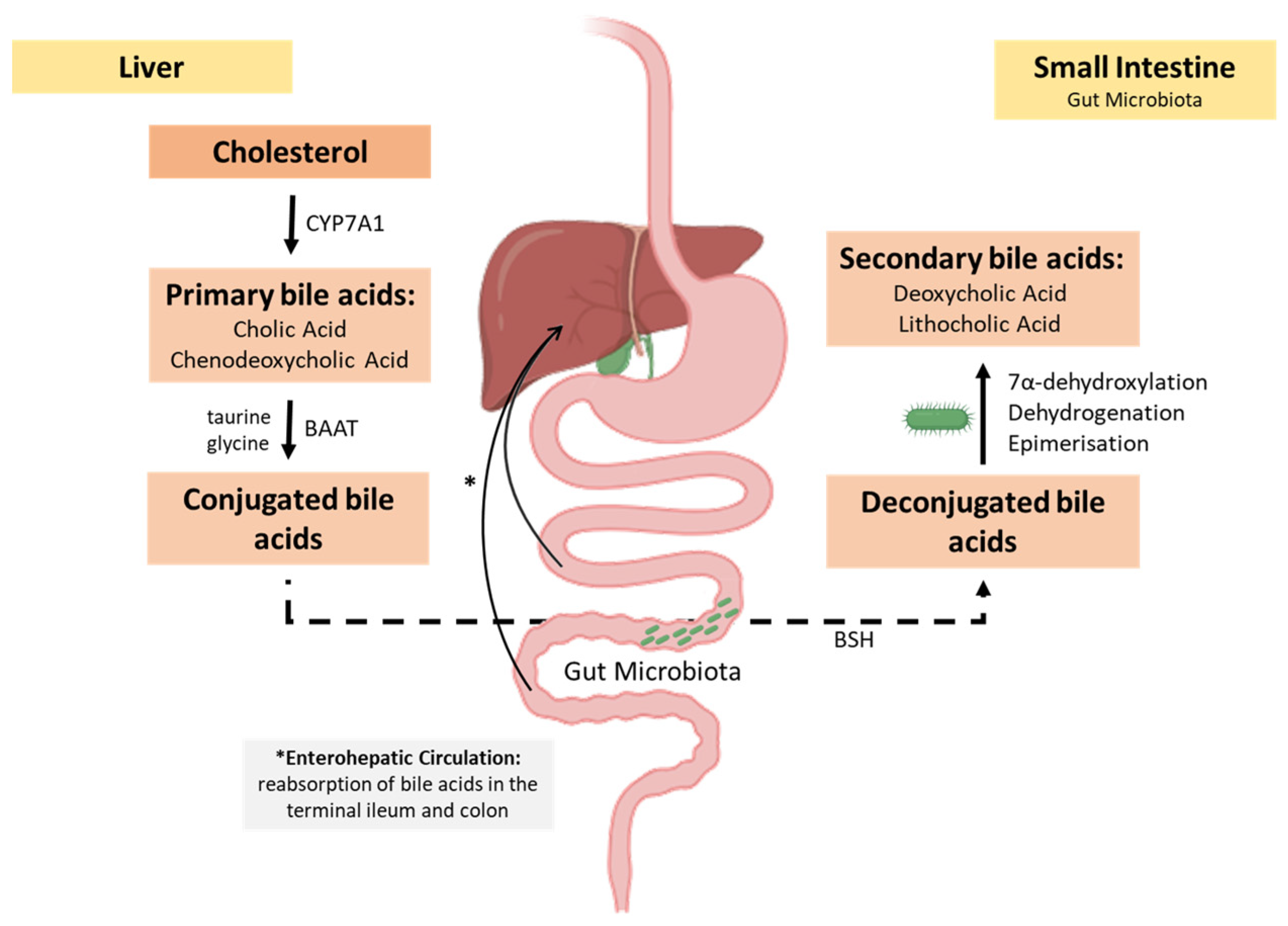 Applsci 15 07084 g006