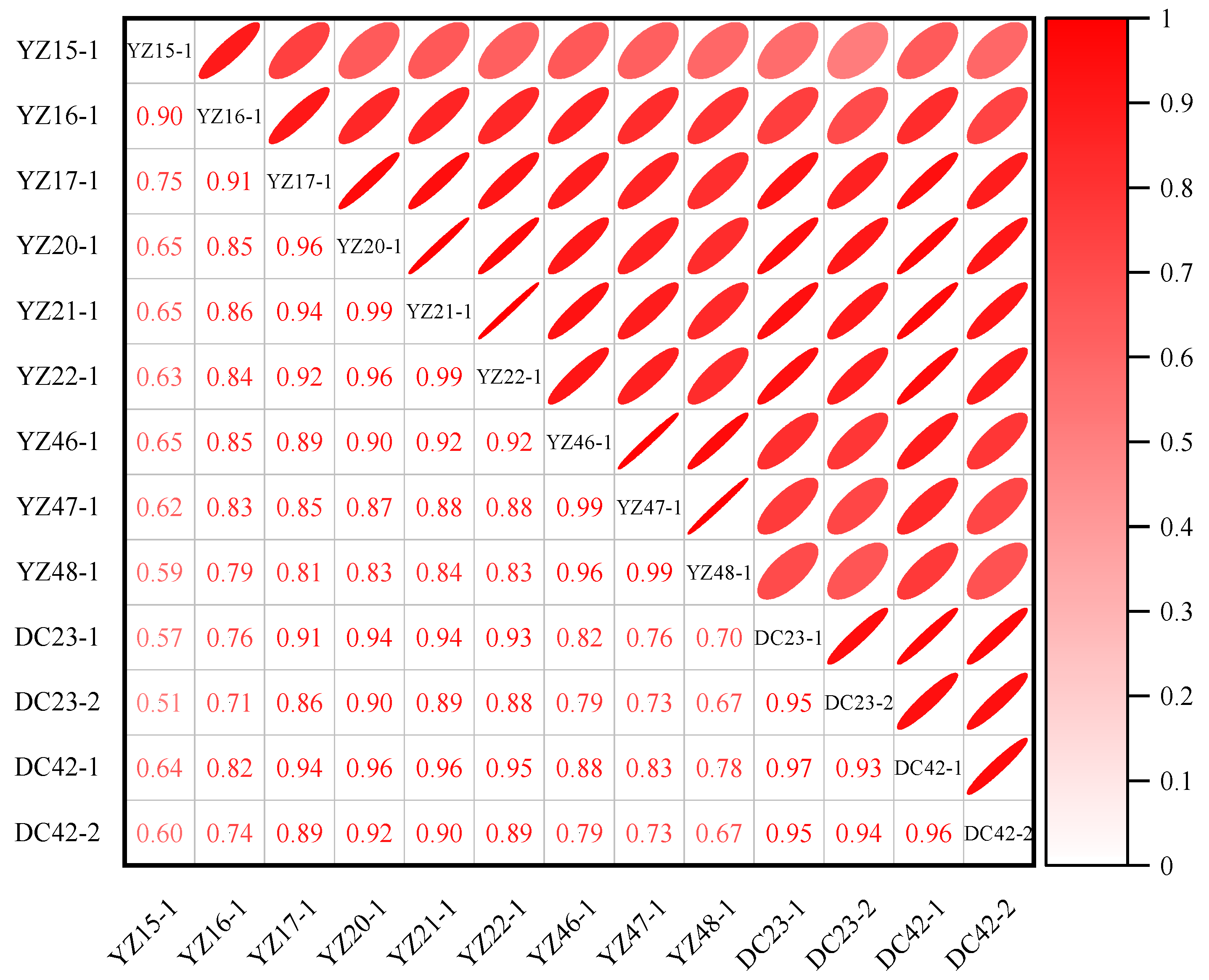 Applsci 15 07096 g008