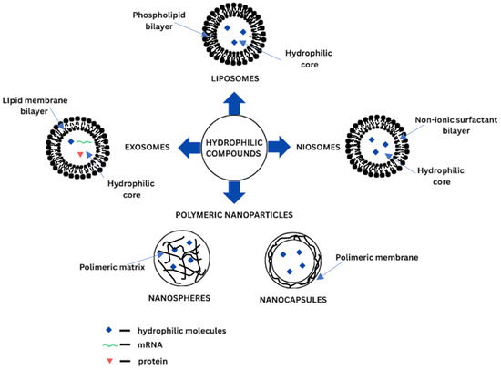 Targeted Delivery Strategies for Hydrophilic Phytochemicals