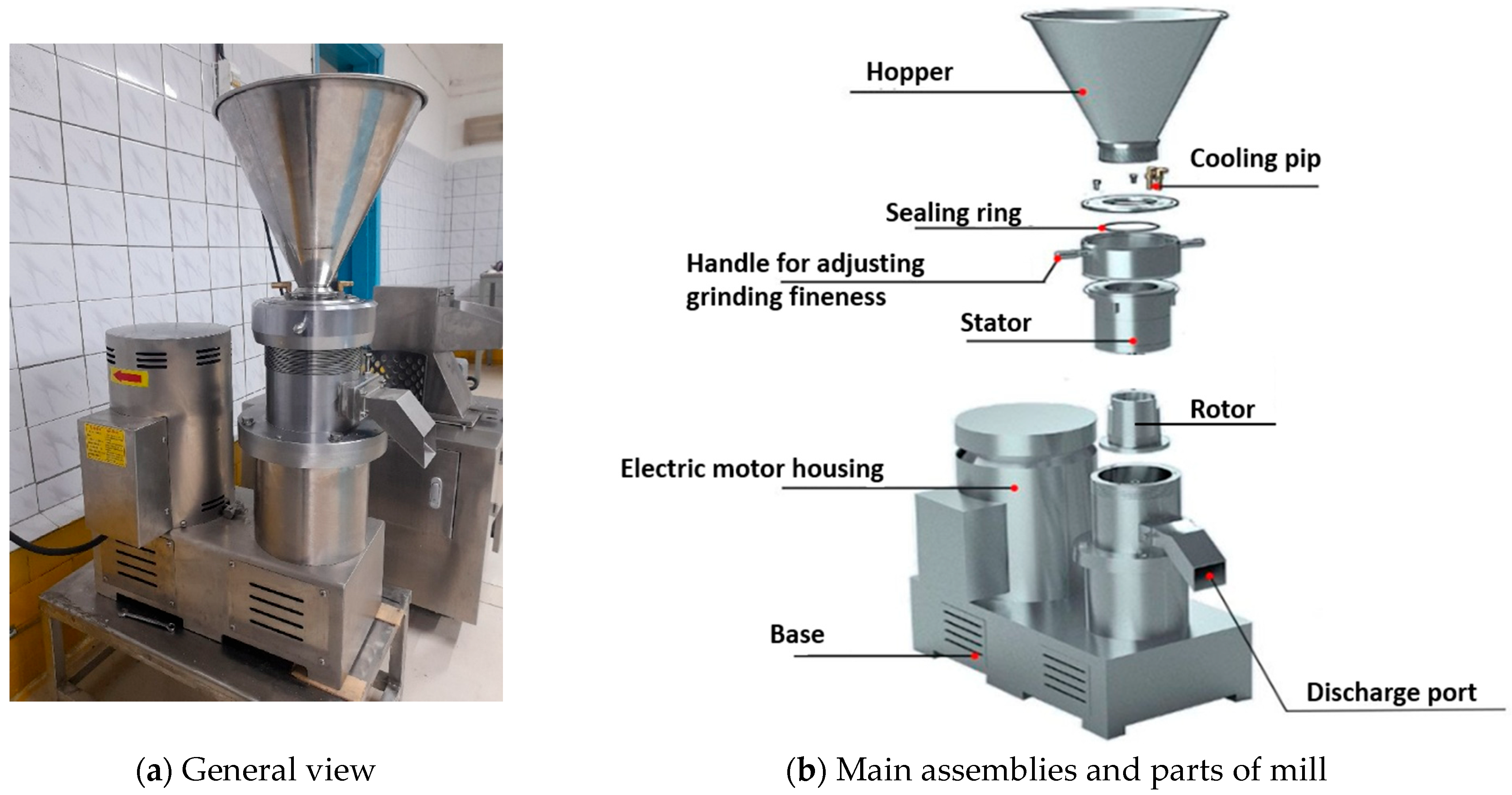 Applsci 15 07106 g001