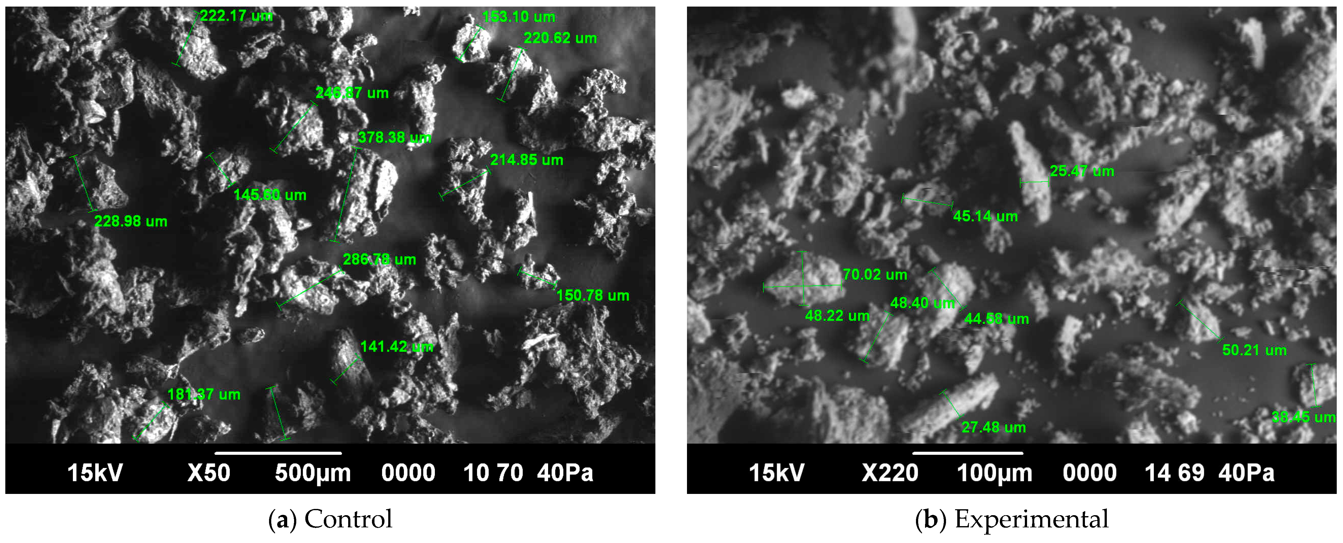 Applsci 15 07106 g005
