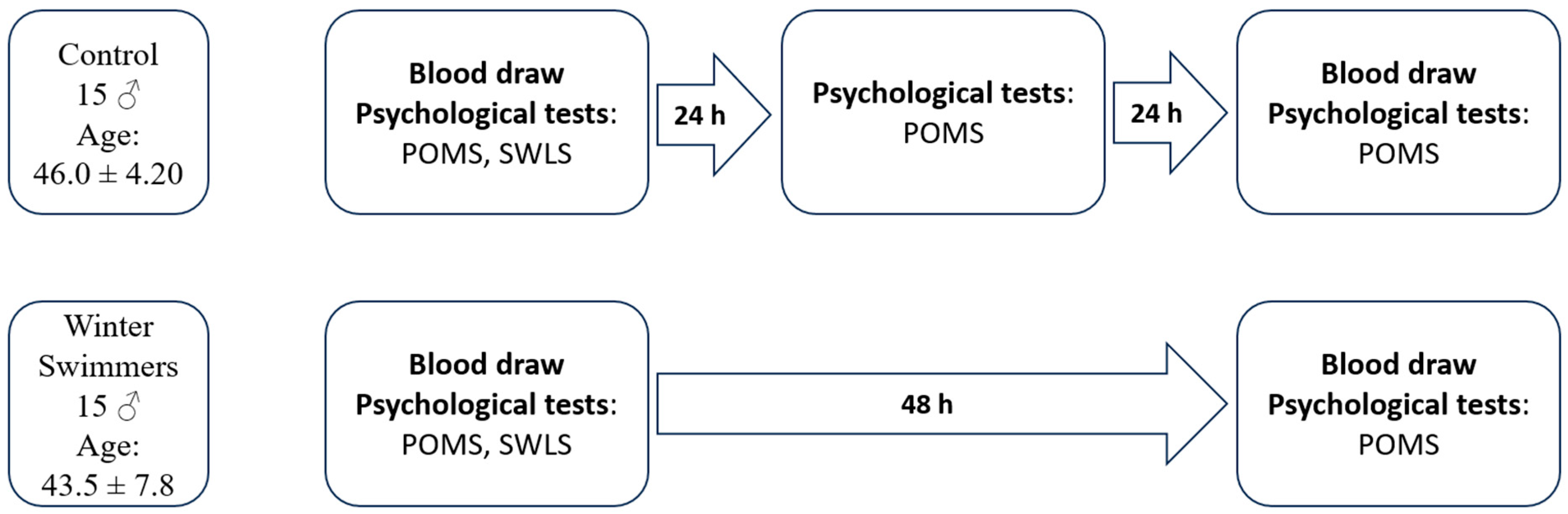 Applsci 15 07107 g001