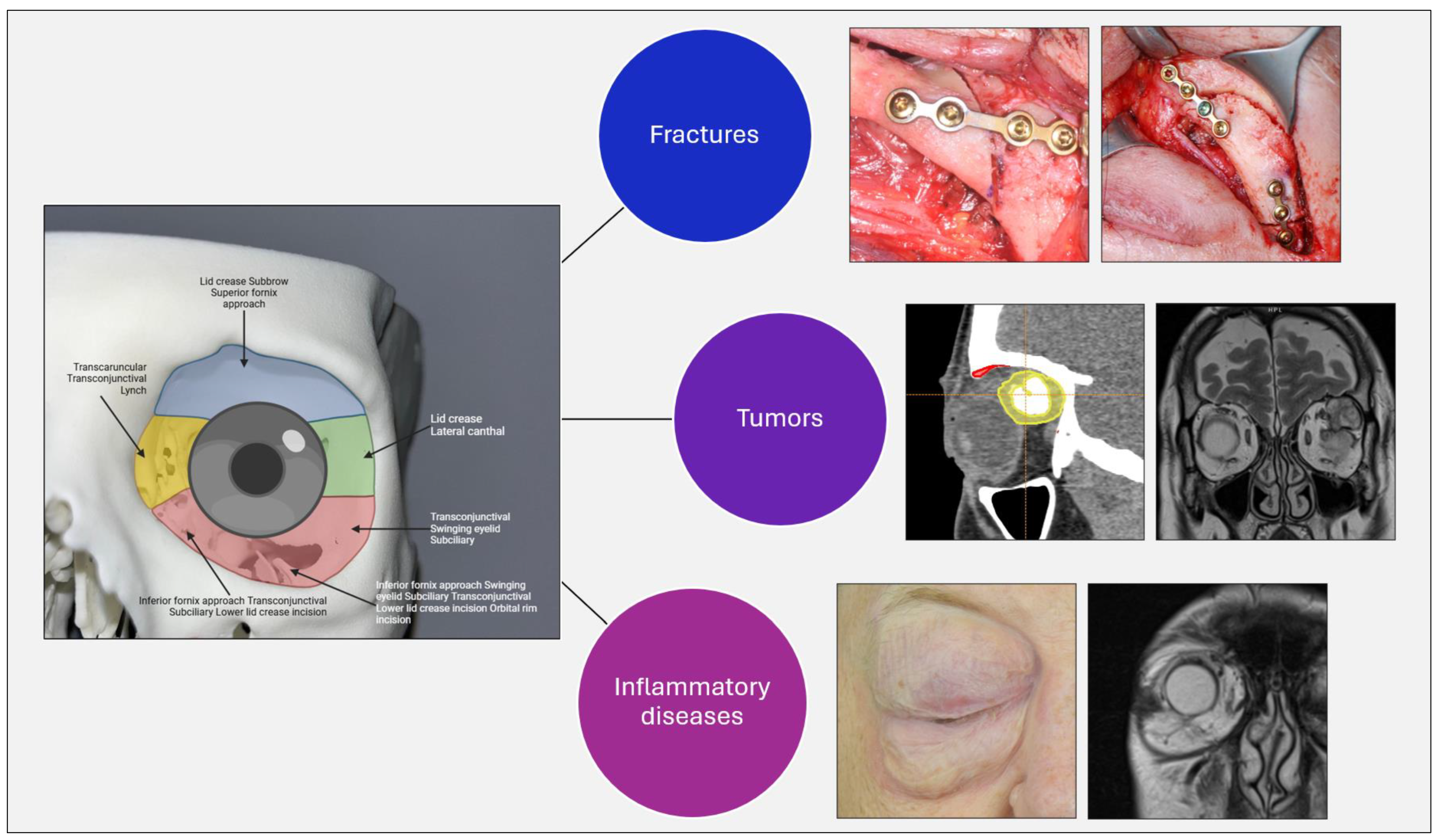 Applsci 15 07122 g001