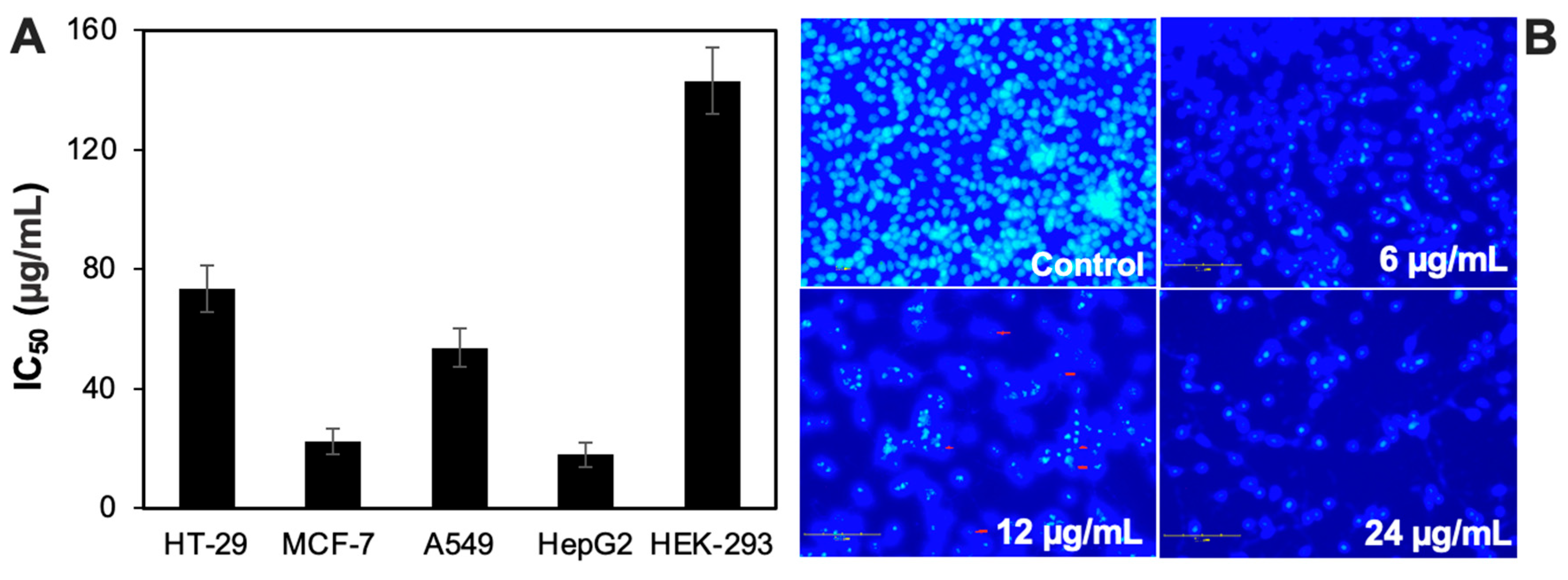 Applsci 15 07126 g003
