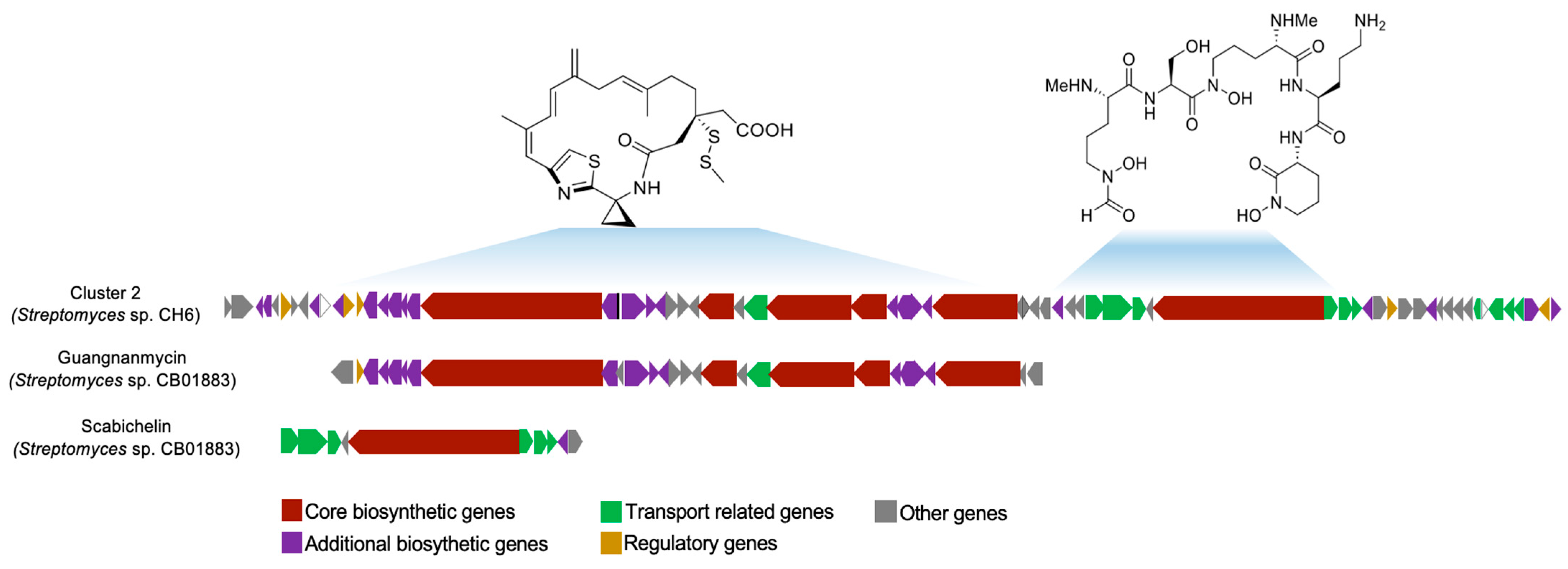 Applsci 15 07126 g005