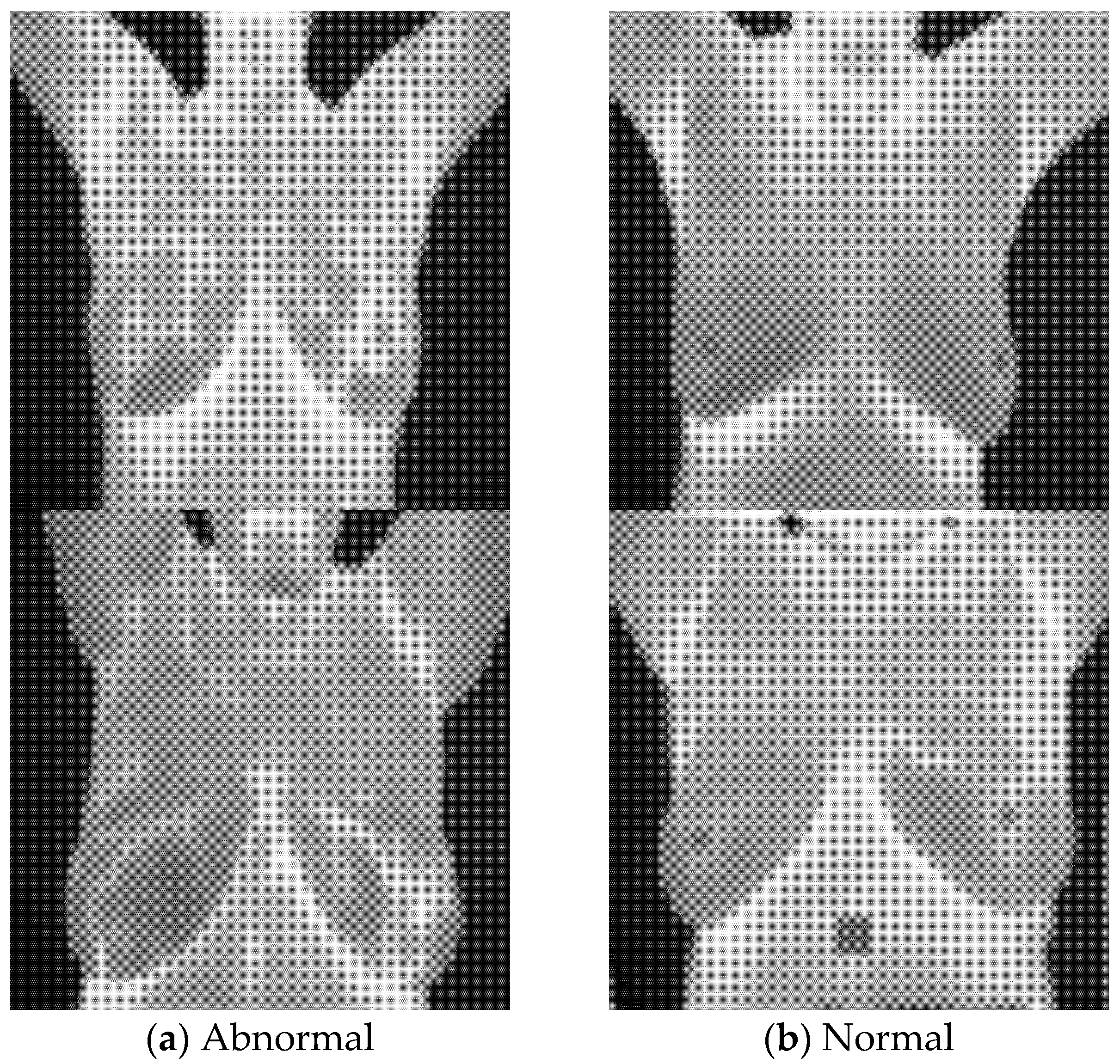 Applsci 15 07181 g001