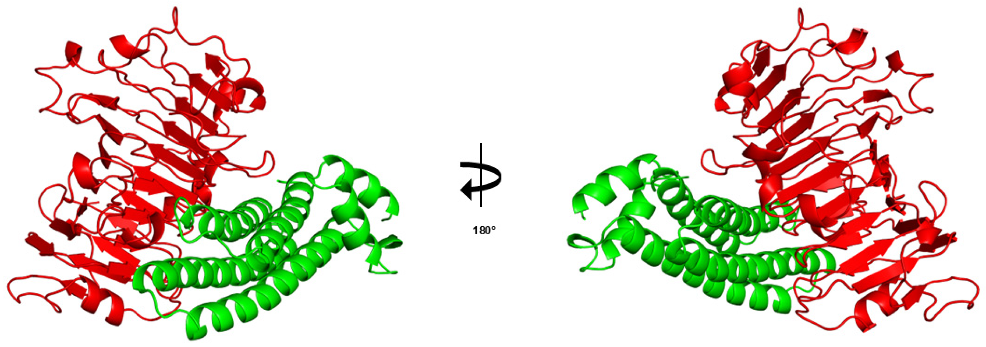 Applsci 15 07182 g003