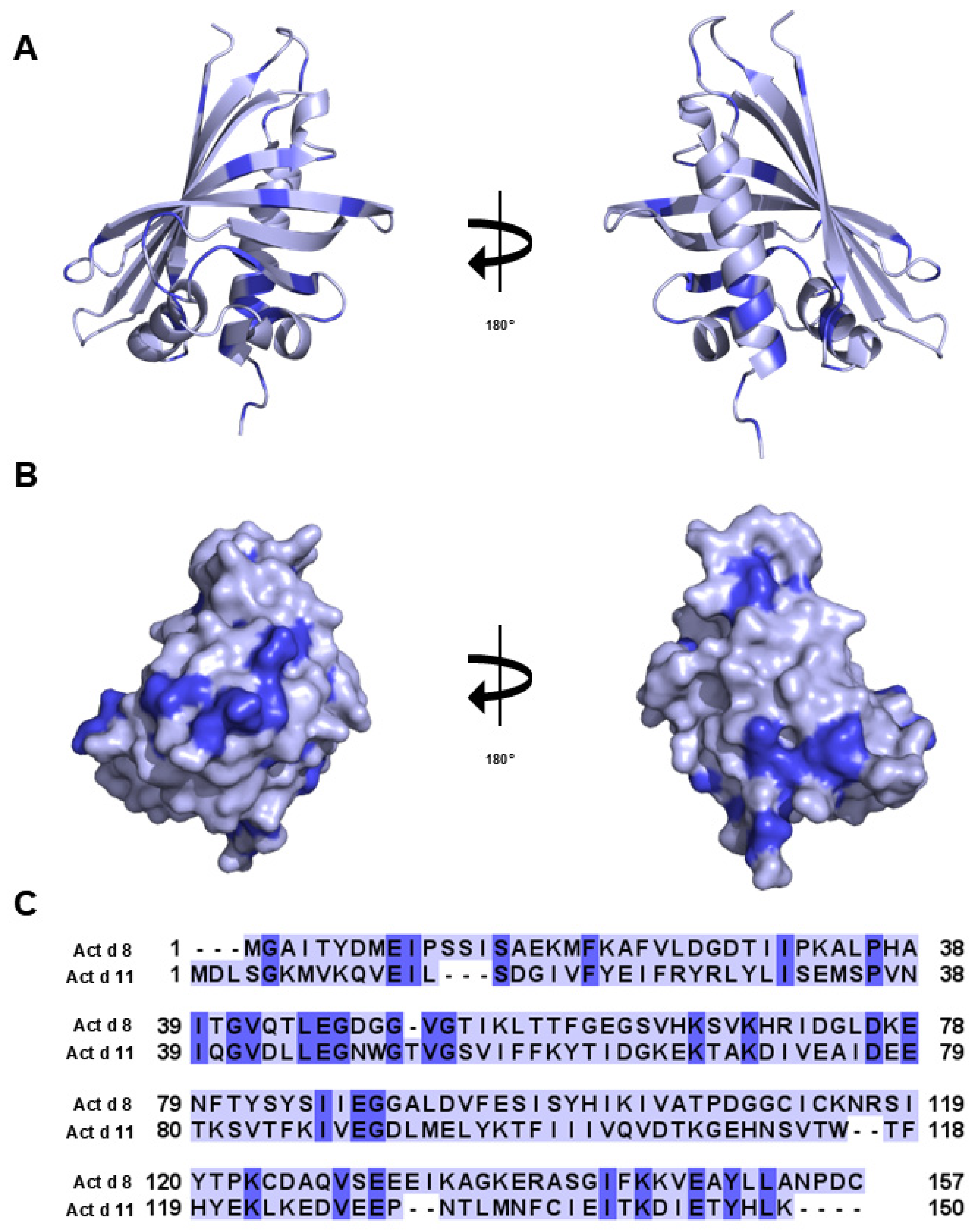 Applsci 15 07182 g006