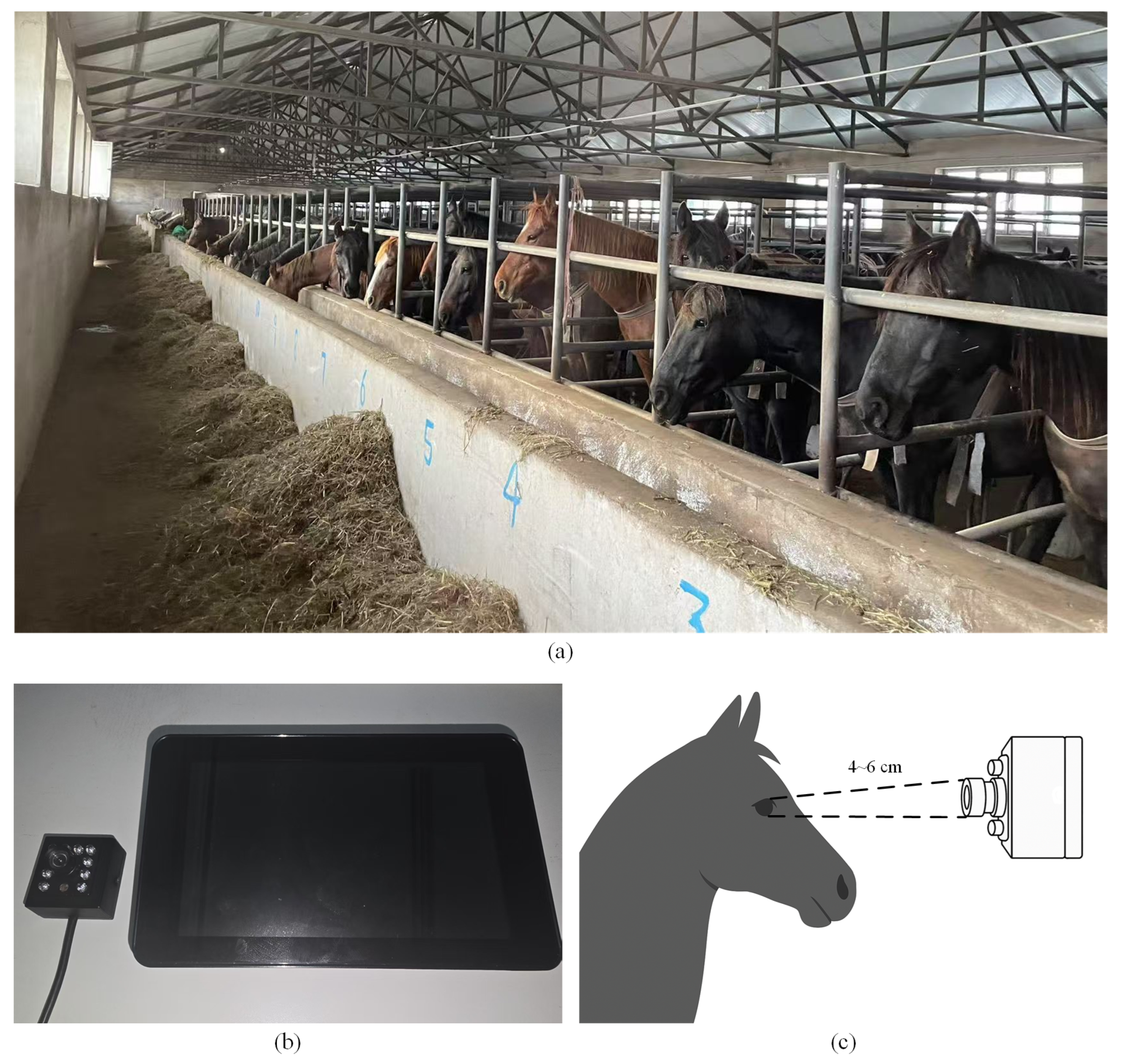 Applsci 15 07191 g002