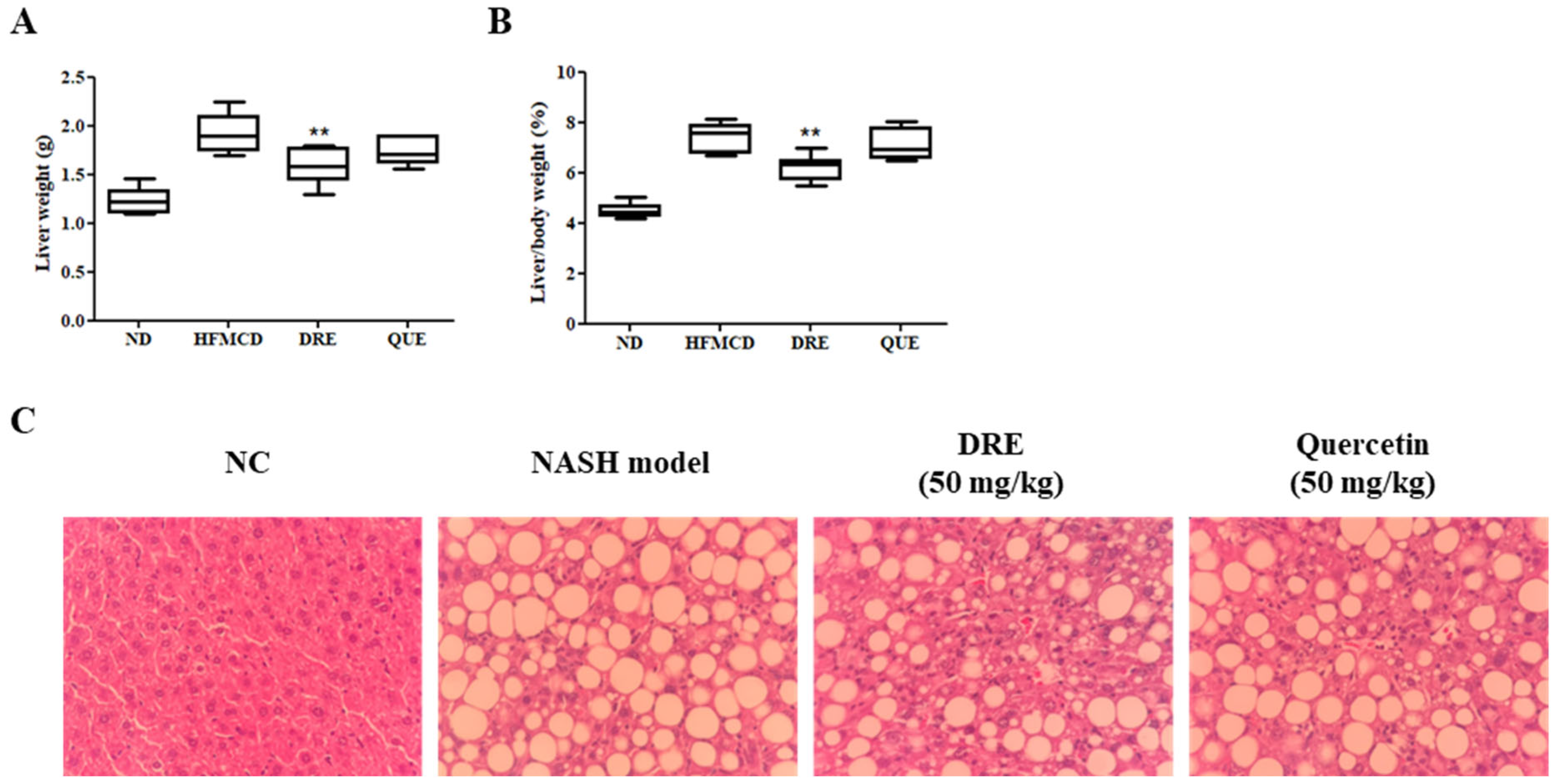 Applsci 15 07238 g004