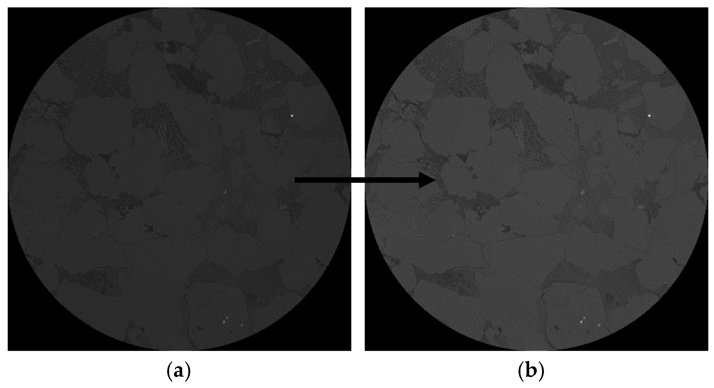 Applsci 15 07247 g008