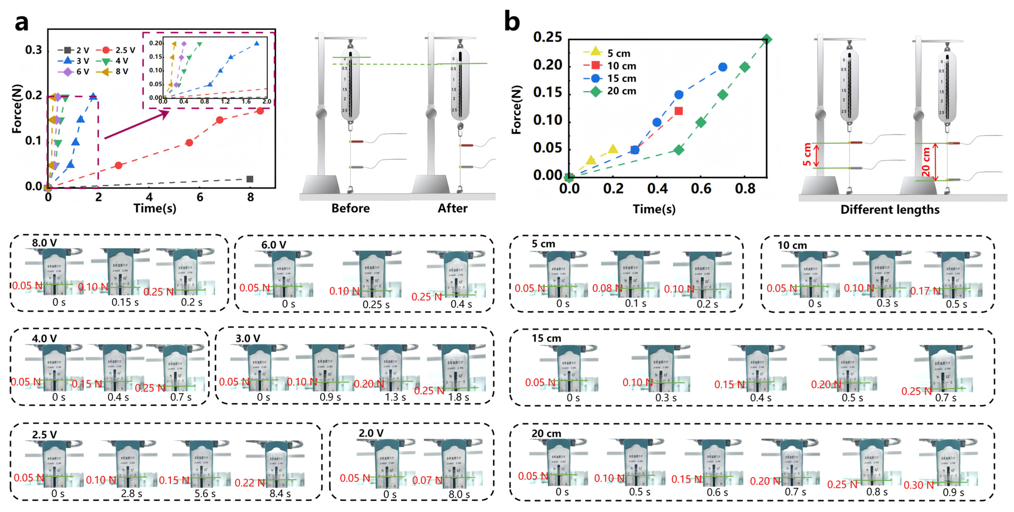 Applsci 15 07266 g005