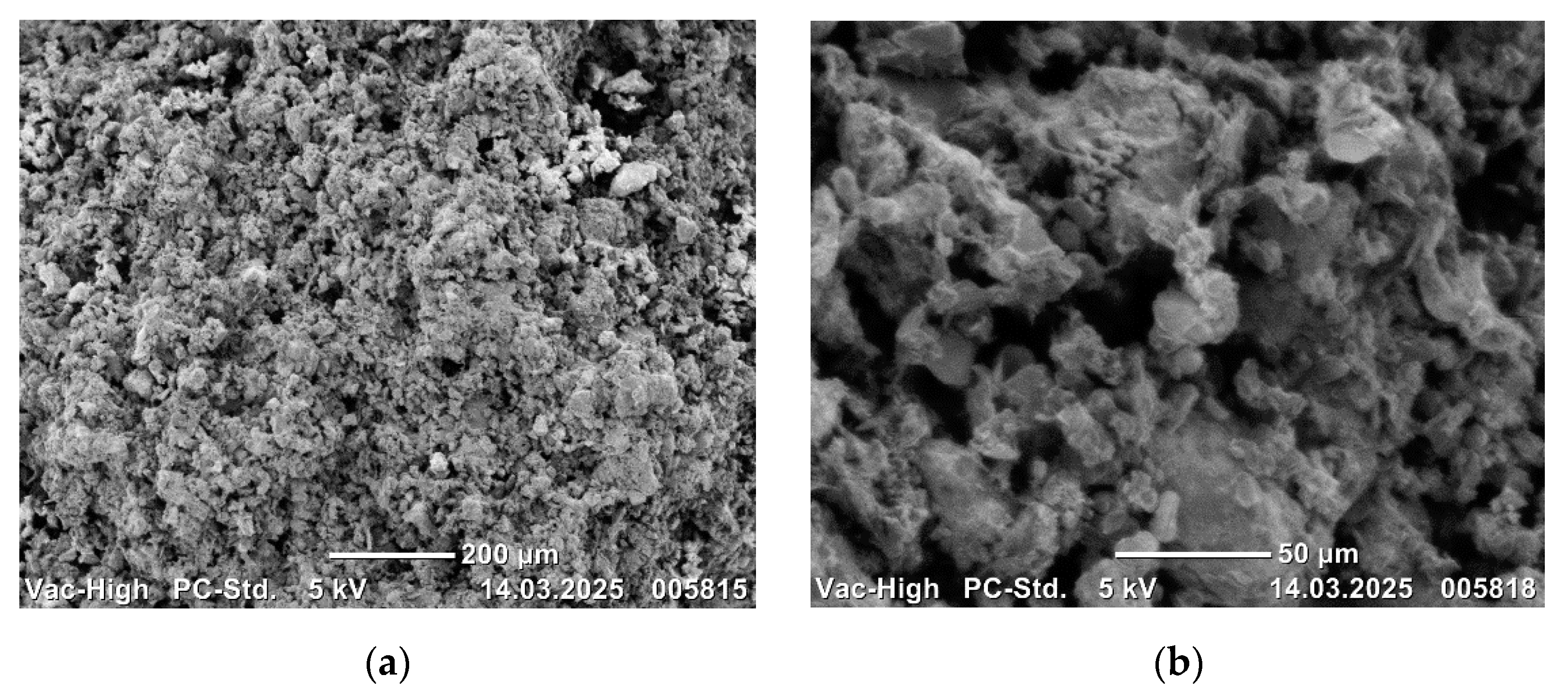 Applsci 15 07284 g003