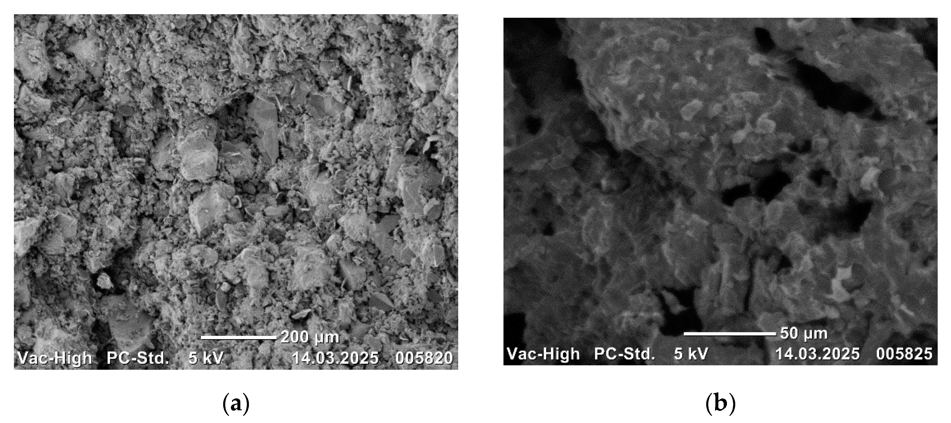 Applsci 15 07284 g007