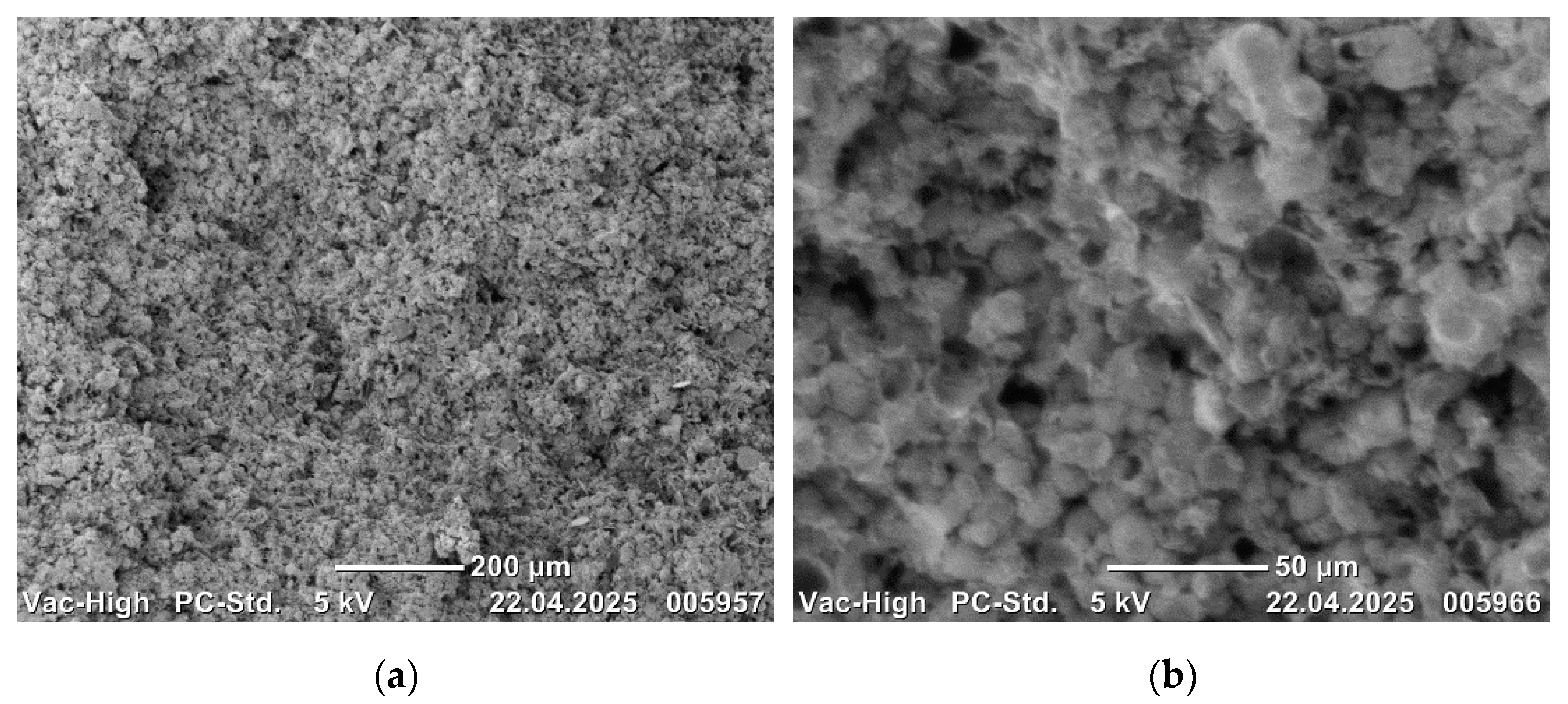 Applsci 15 07284 g013