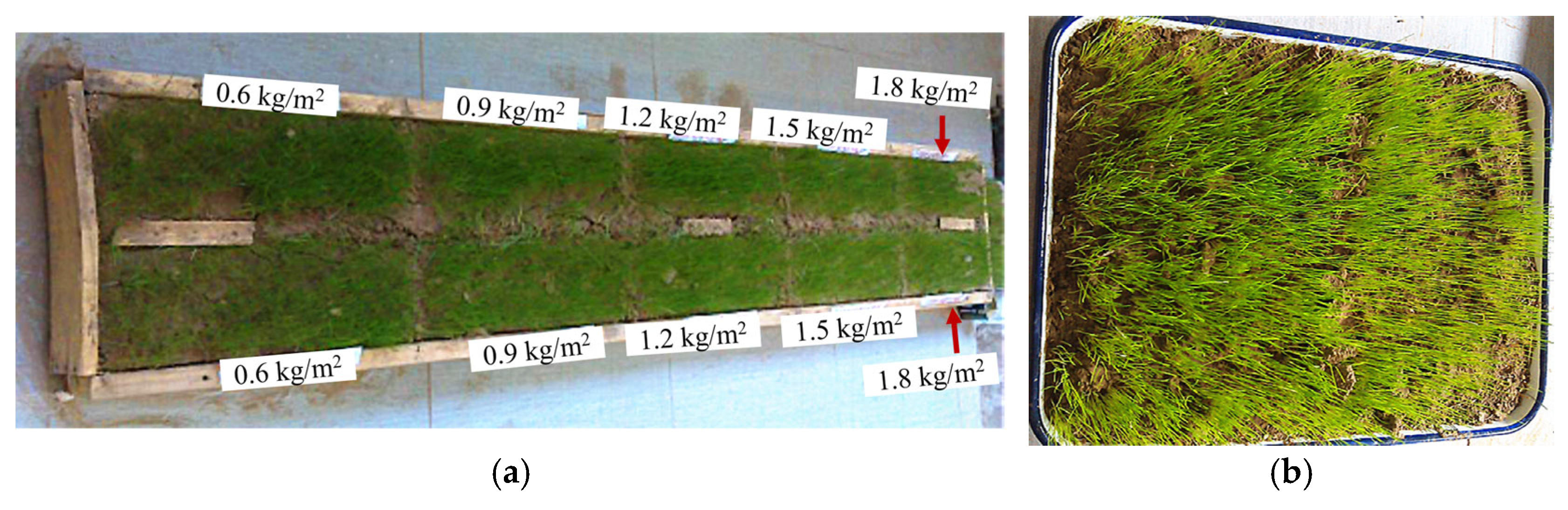 Applsci 15 07289 g010