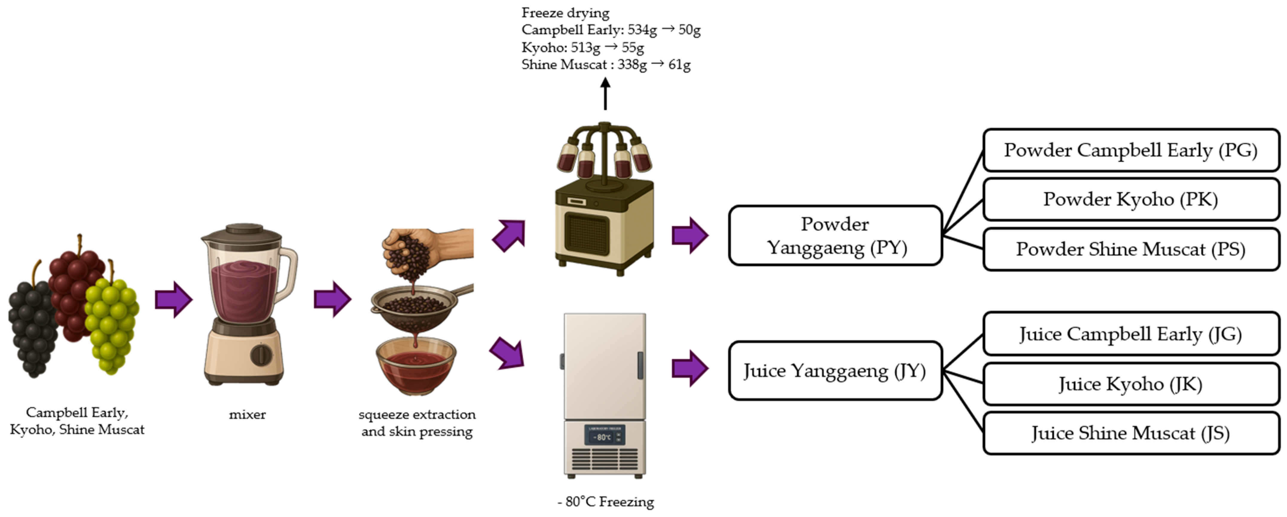 Applsci 15 07291 g001