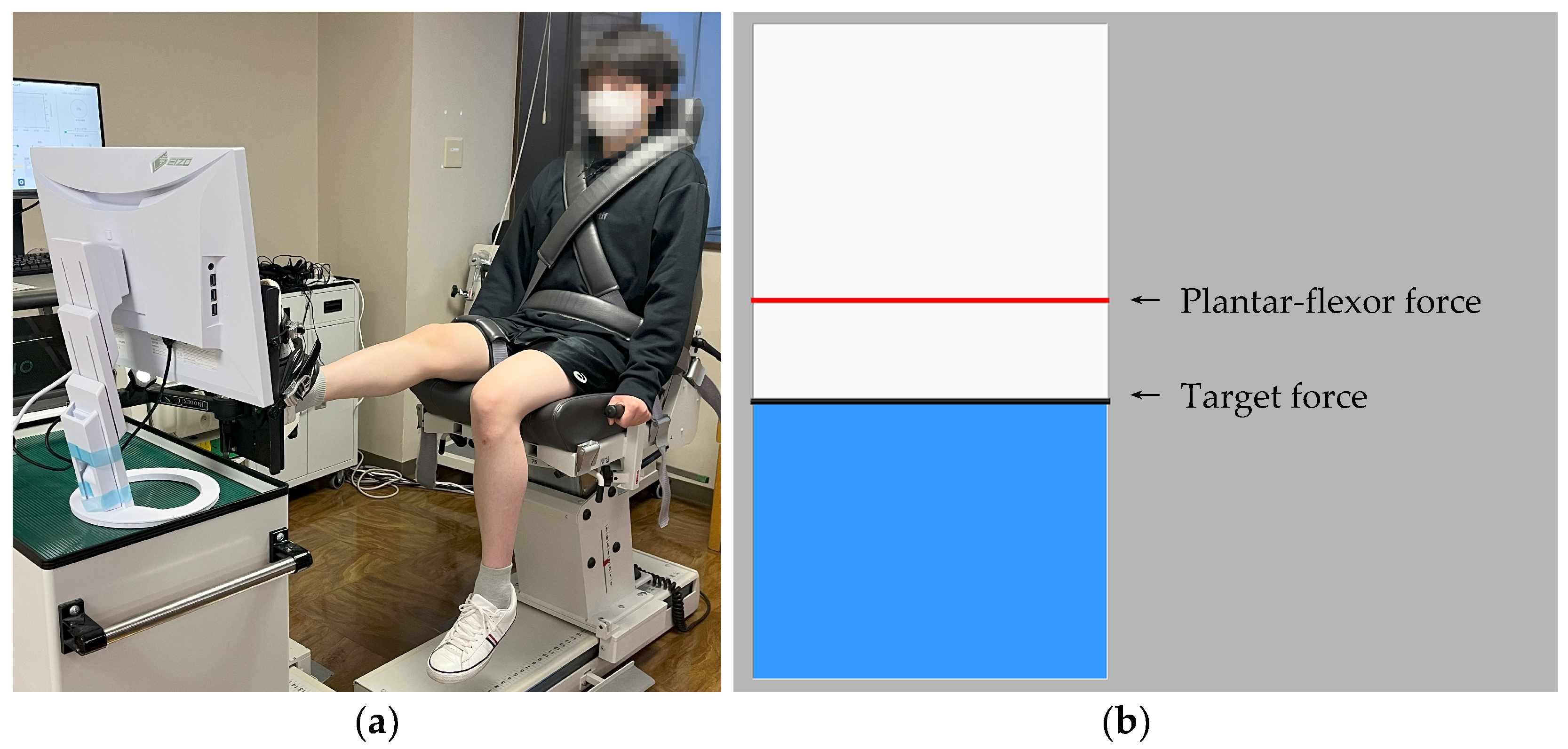 Applsci 15 07294 g001