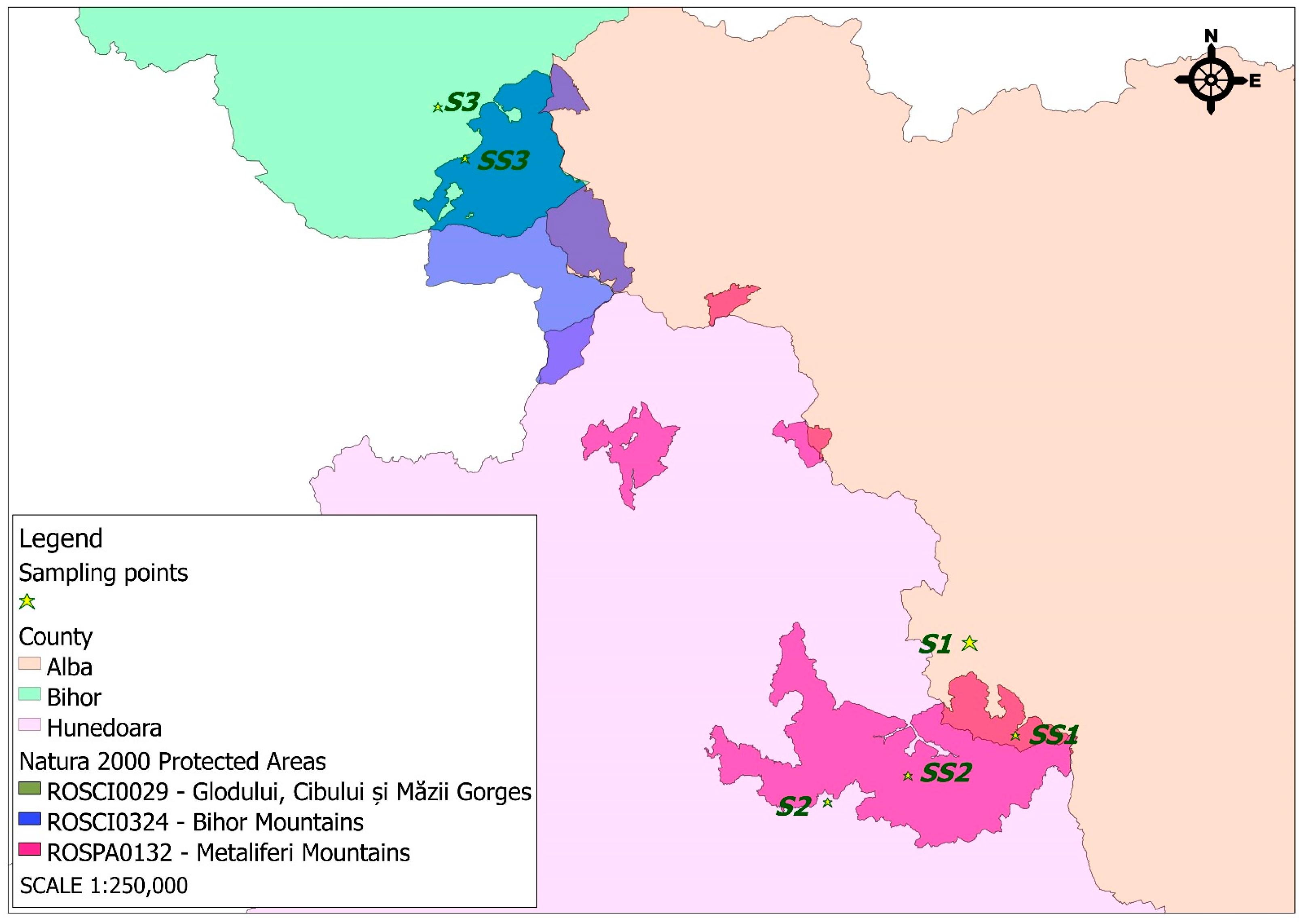 Applsci 15 07297 g002