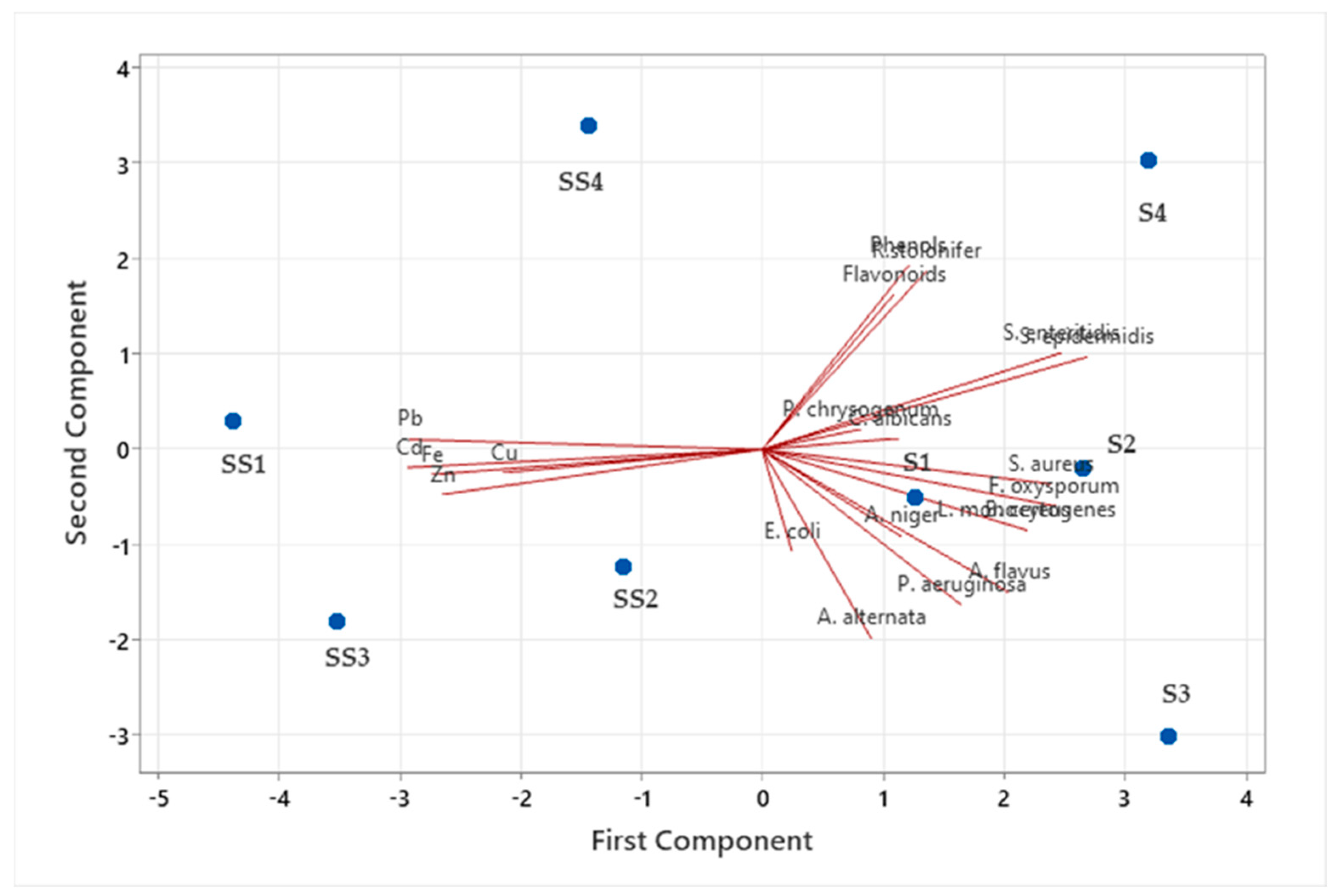 Applsci 15 07297 g004