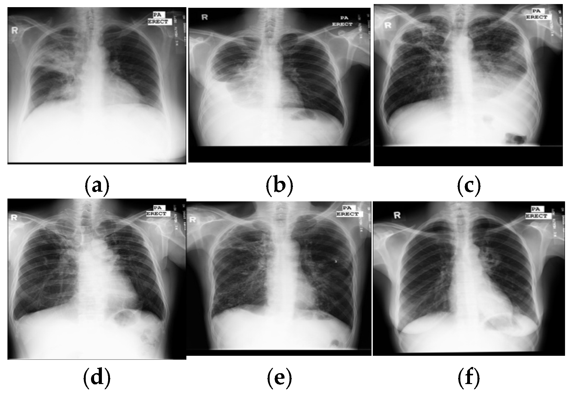 Applsci 15 07300 g001