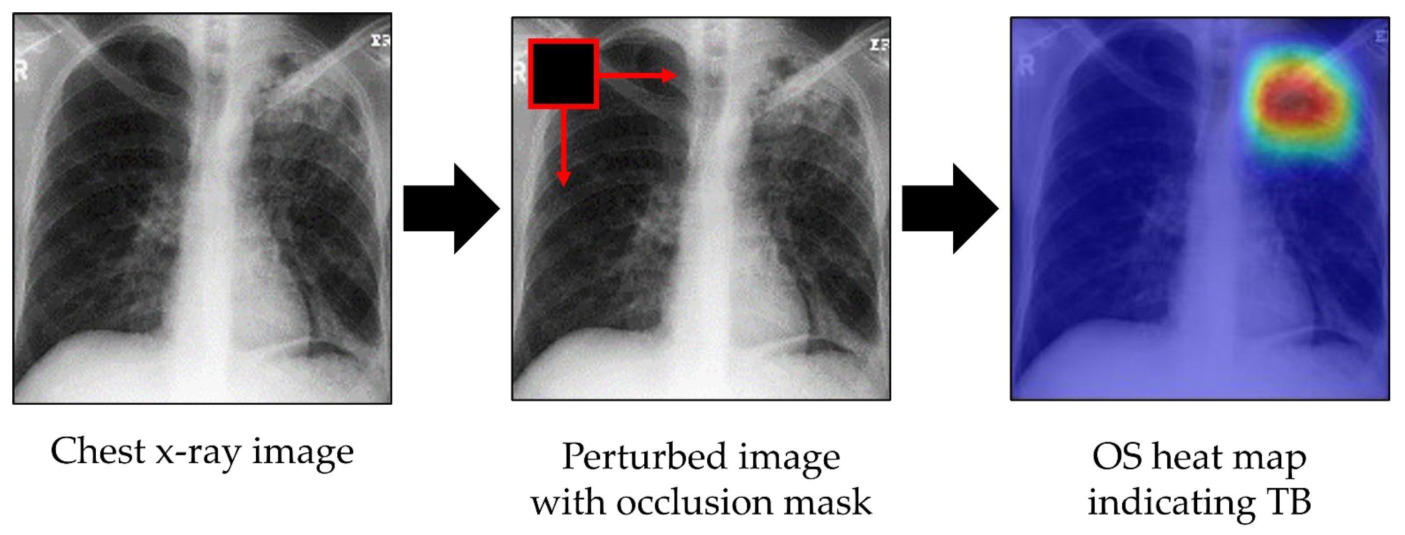 Applsci 15 07300 g004