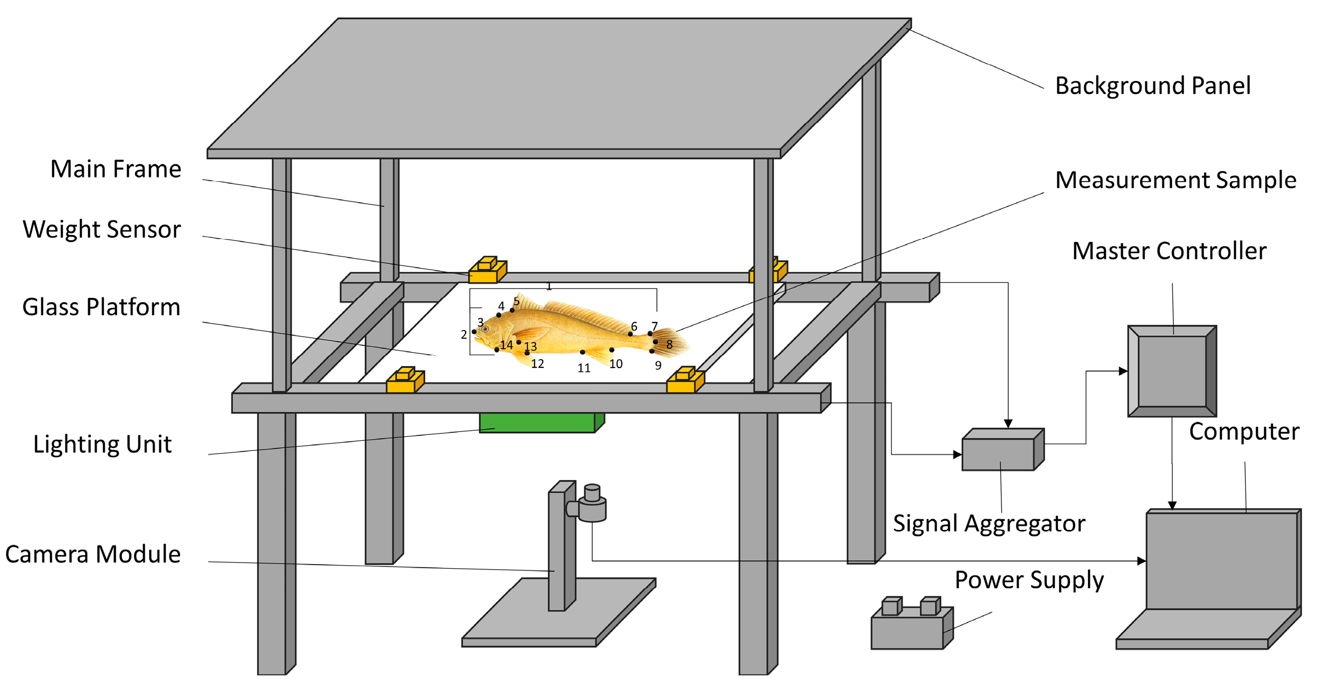 Applsci 15 07307 g001