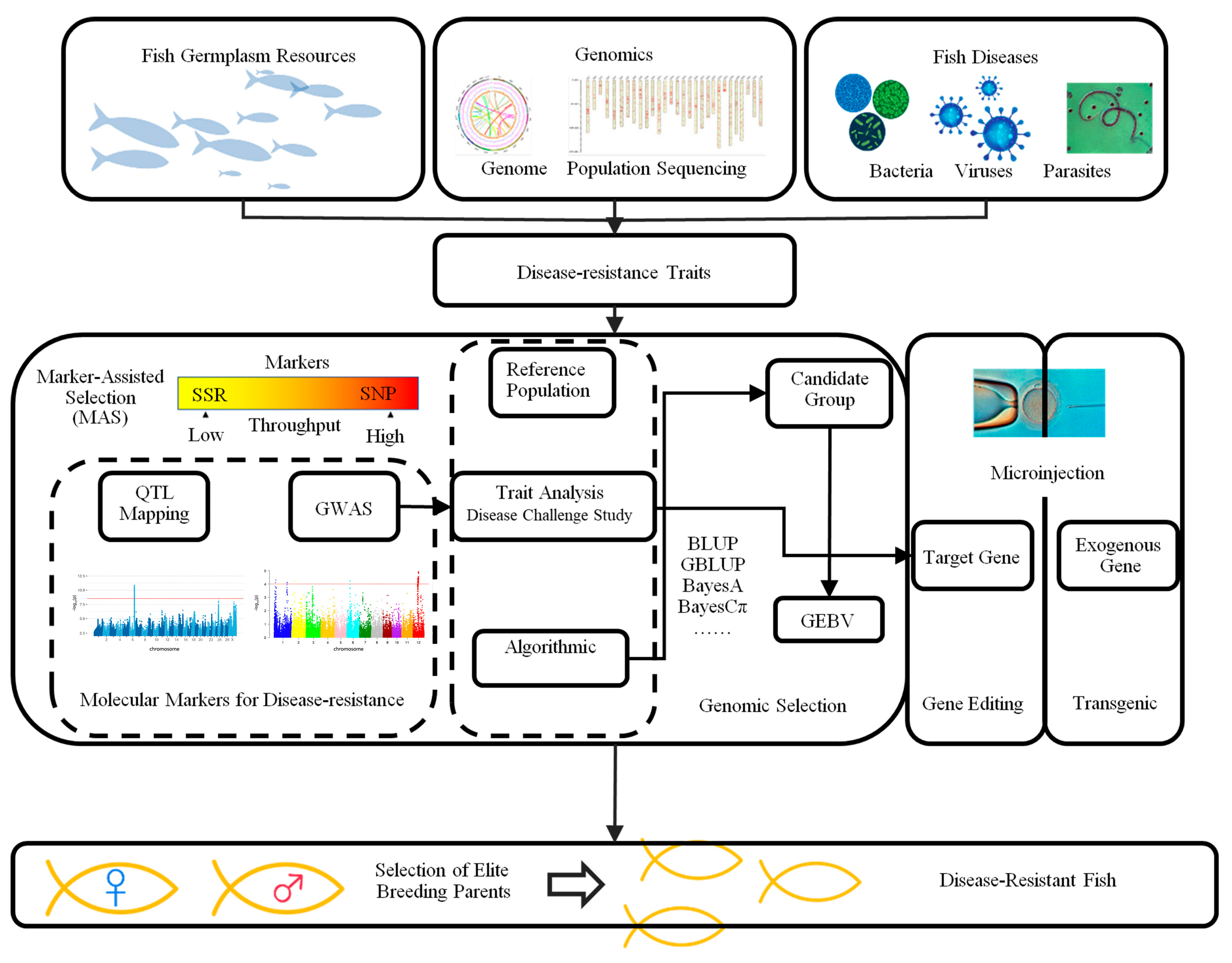 Applsci 15 07307 g002