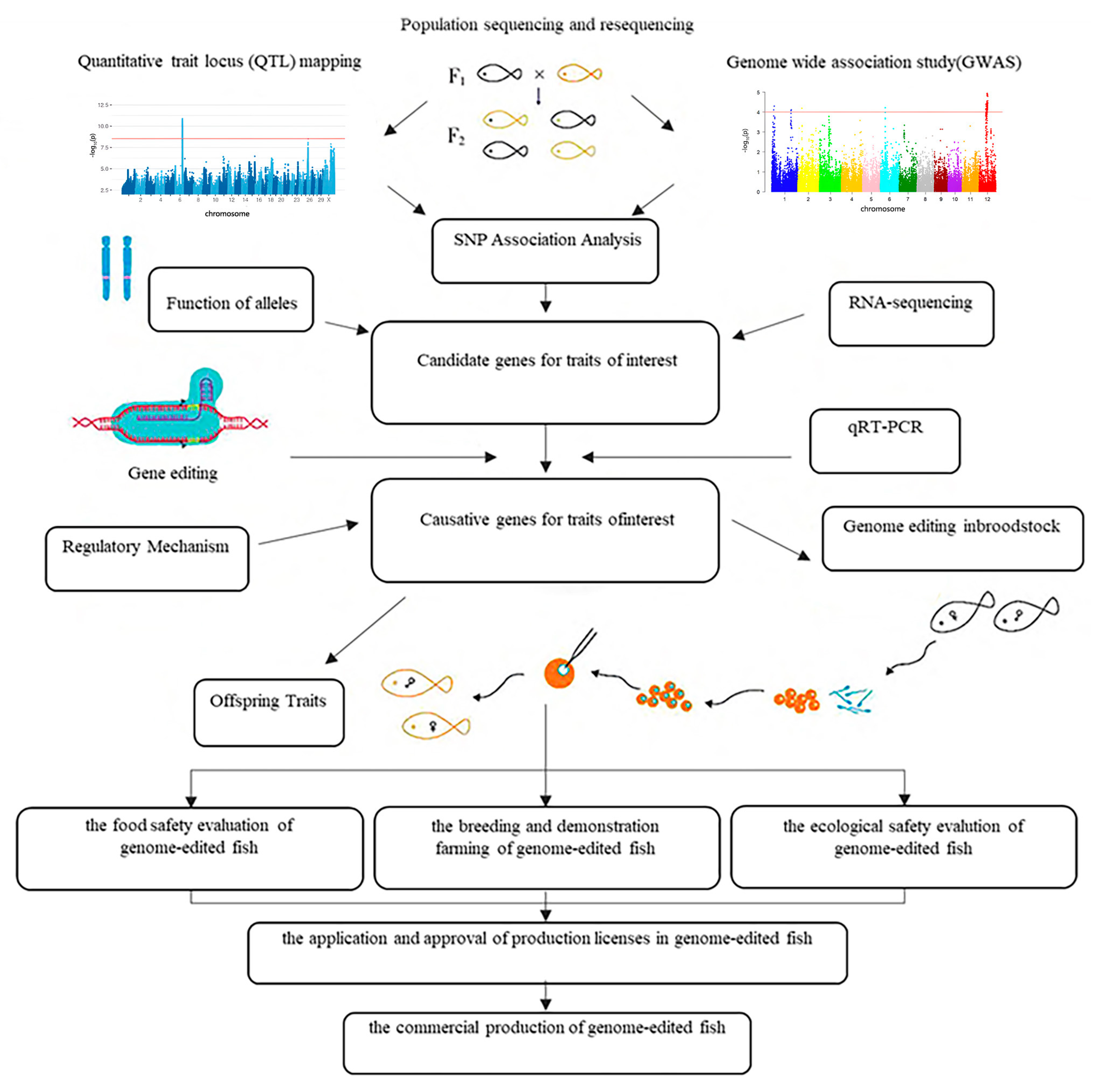 Applsci 15 07307 g003