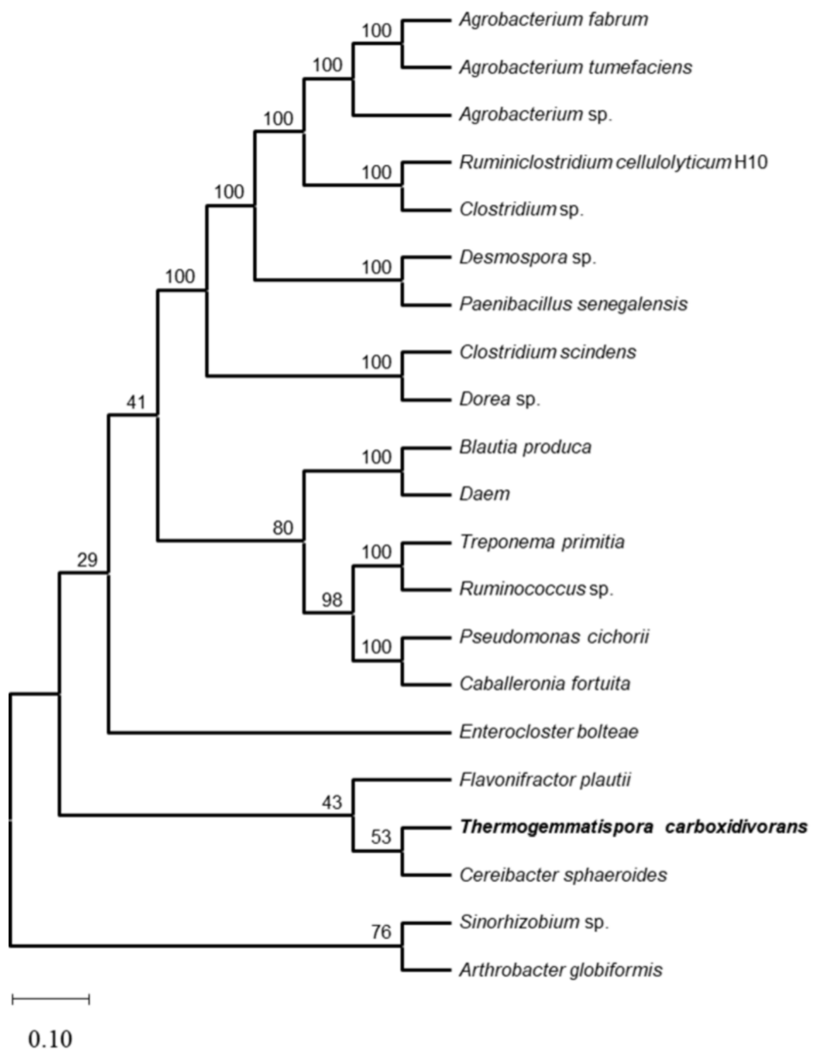 Applsci 15 07318 g001