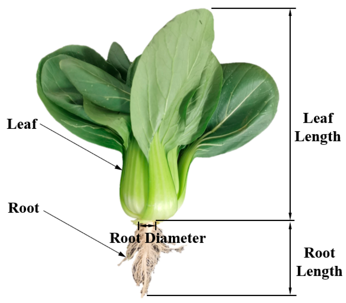 Applsci 15 07326 g002