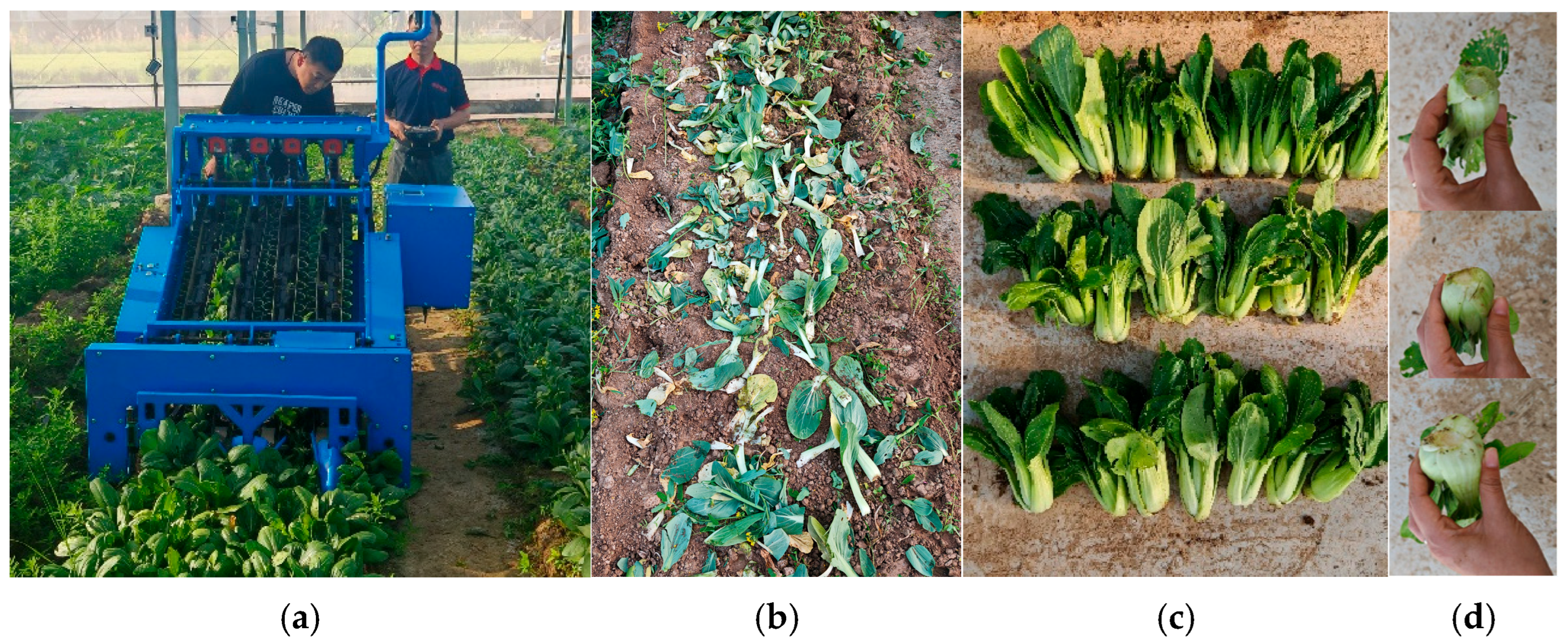 Applsci 15 07326 g019