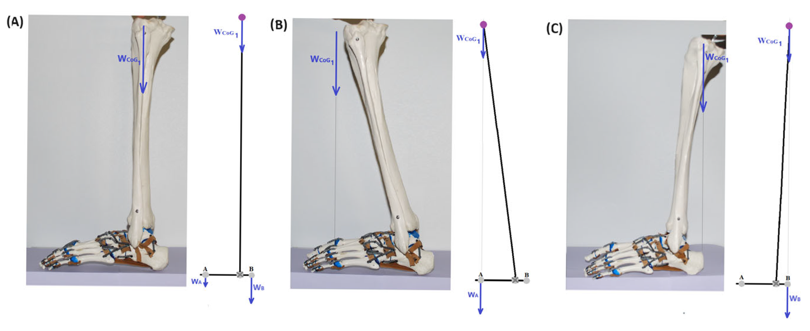 Applsci 15 07352 g002