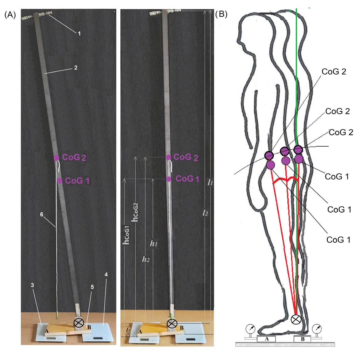 Applsci 15 07352 g003