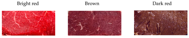 Applsci 15 07360 i001