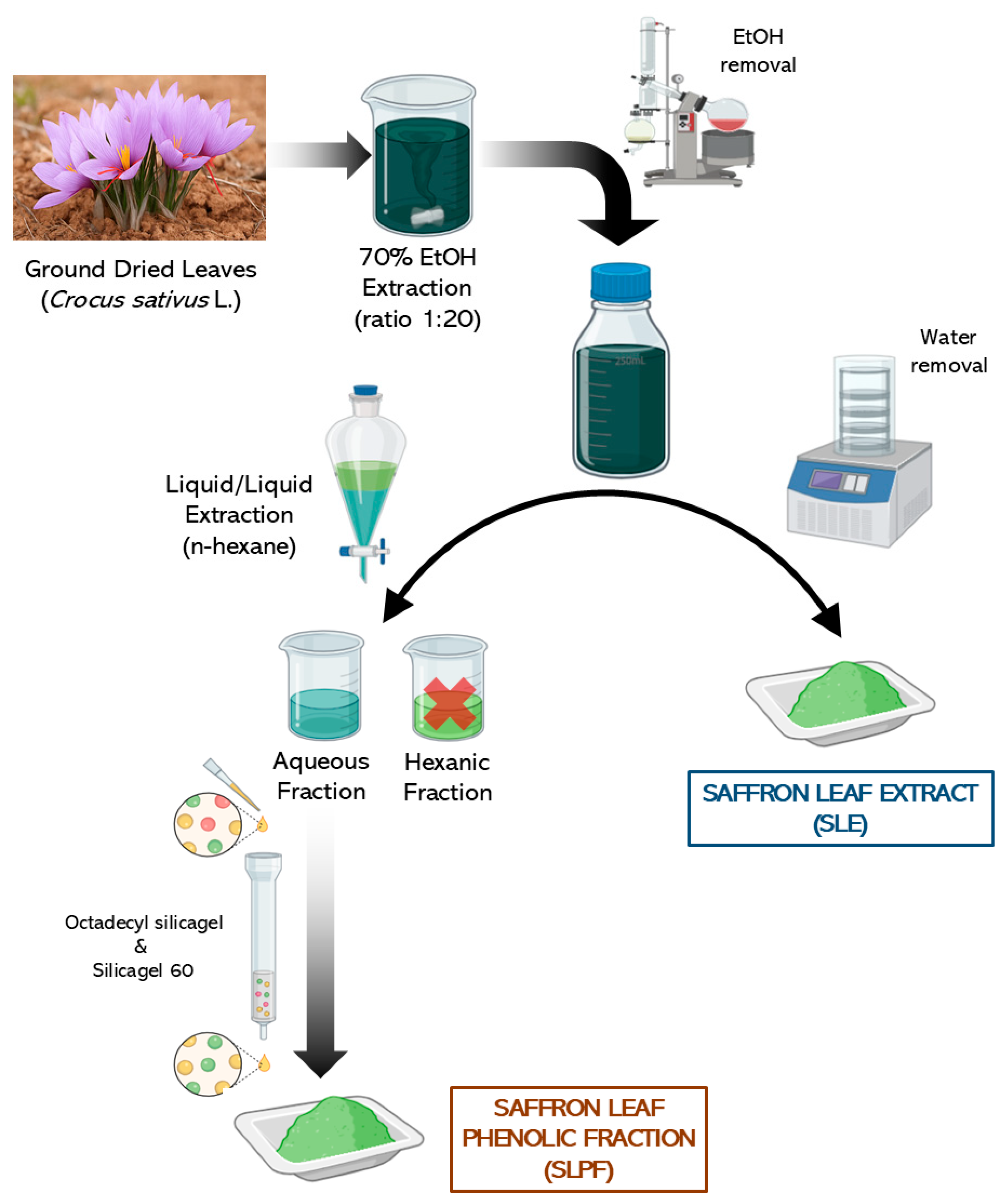 Applsci 15 07376 g001