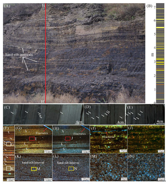 Heterogeneity of the Triassic Lacustrine Yanchang Shale in