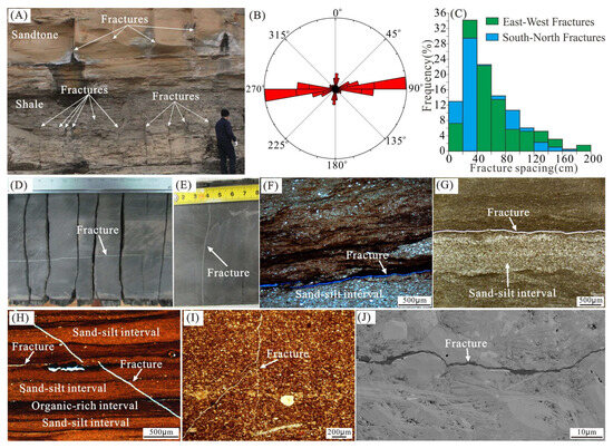 Rose Dissolution of mixed oxide(MOX) fuel in nitric acid:A review