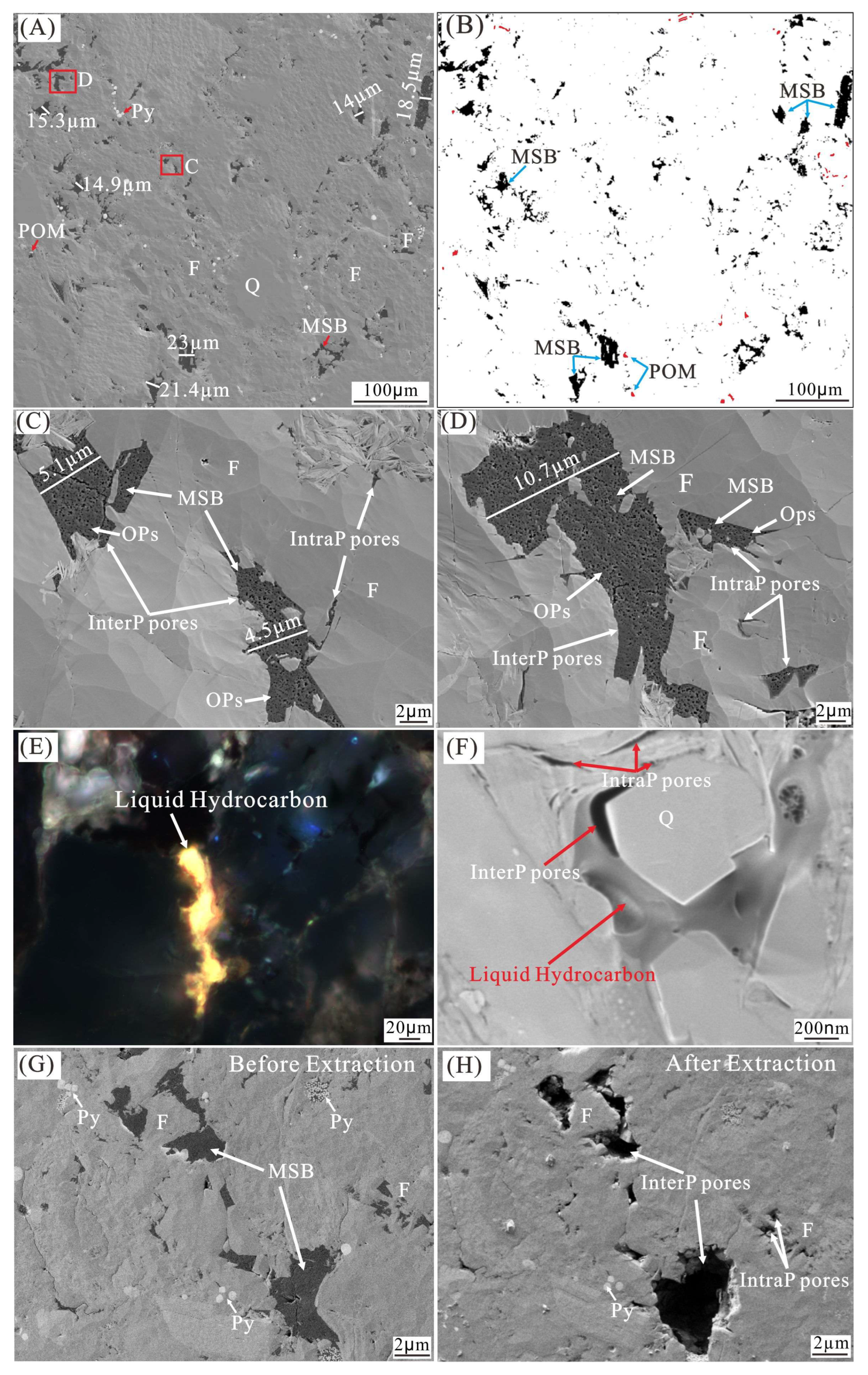 Applsci 15 07392 g013