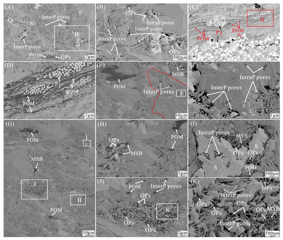 Heterogeneity of the Triassic Lacustrine Yanchang Shale in