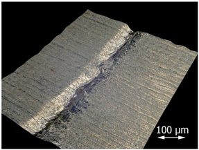 Applsci 15 07398 i010