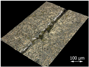 Applsci 15 07398 i011