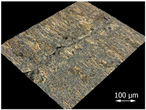 Applsci 15 07398 i012