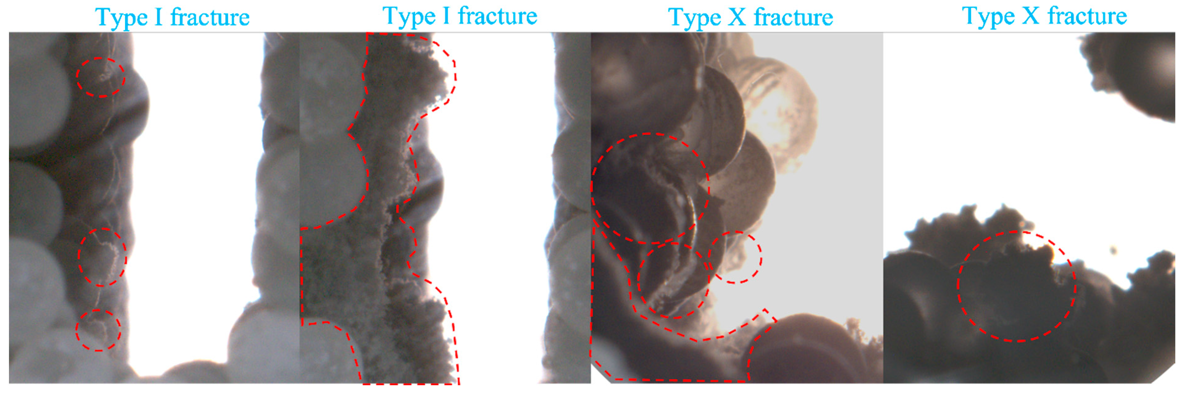 Applsci 15 07399 g013